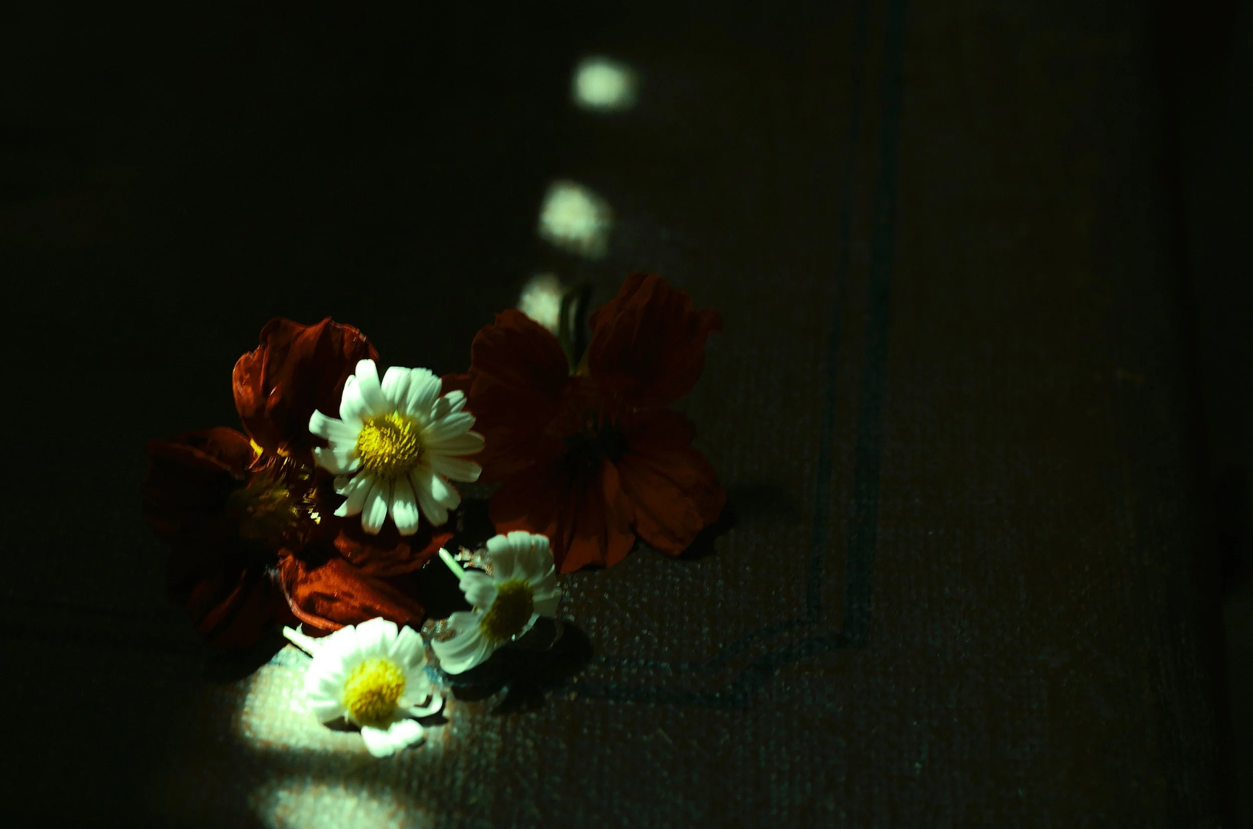 image00024.jpeg