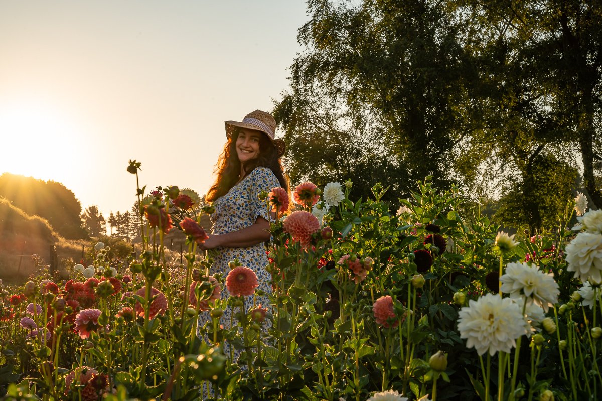 _PJV1800.jpg (Copy) (Copy)