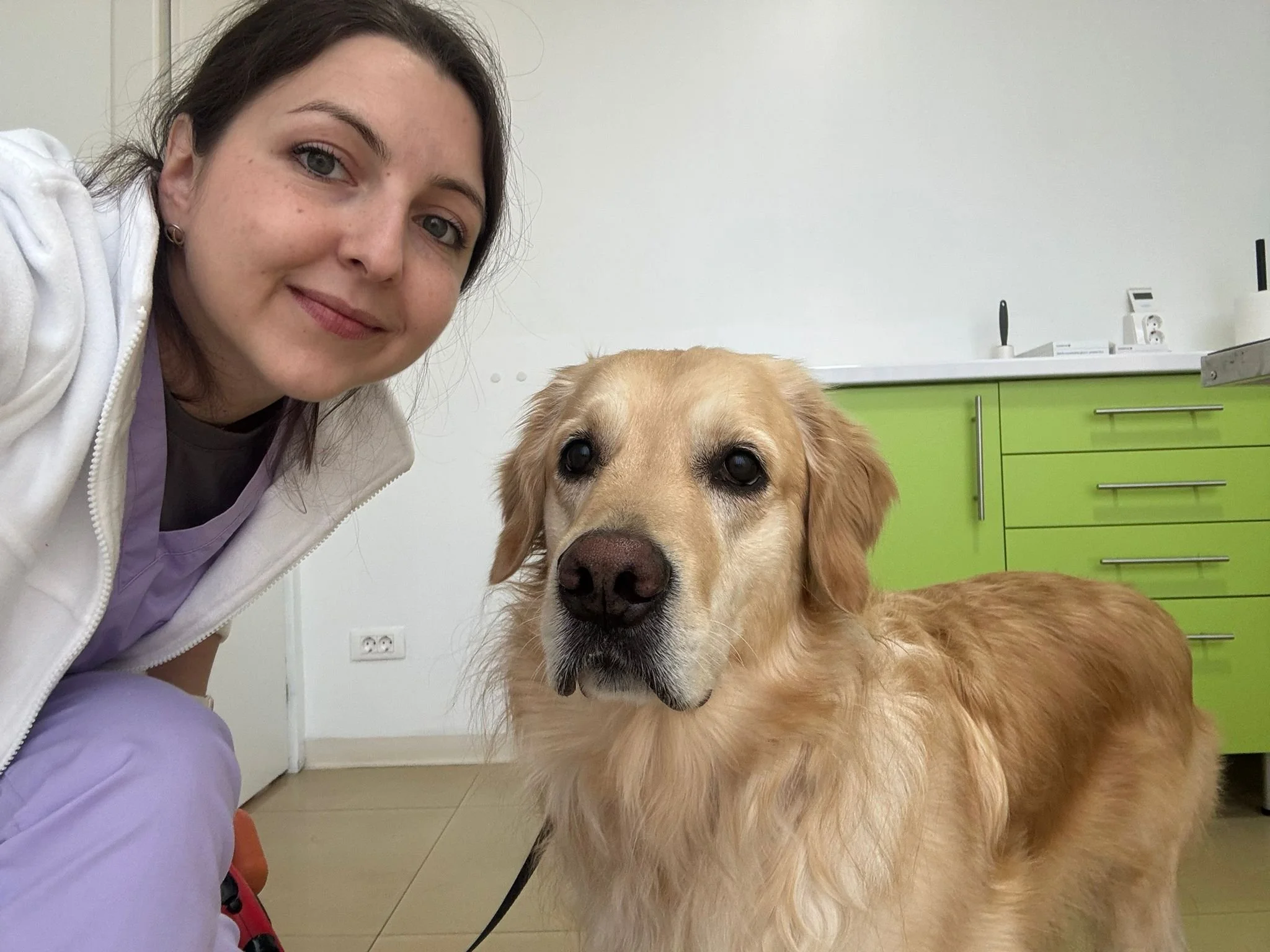 Deparazitarea sezonieră versus deparazitarea pe tot parcursul anului: avantaje, beneficii și diferențe