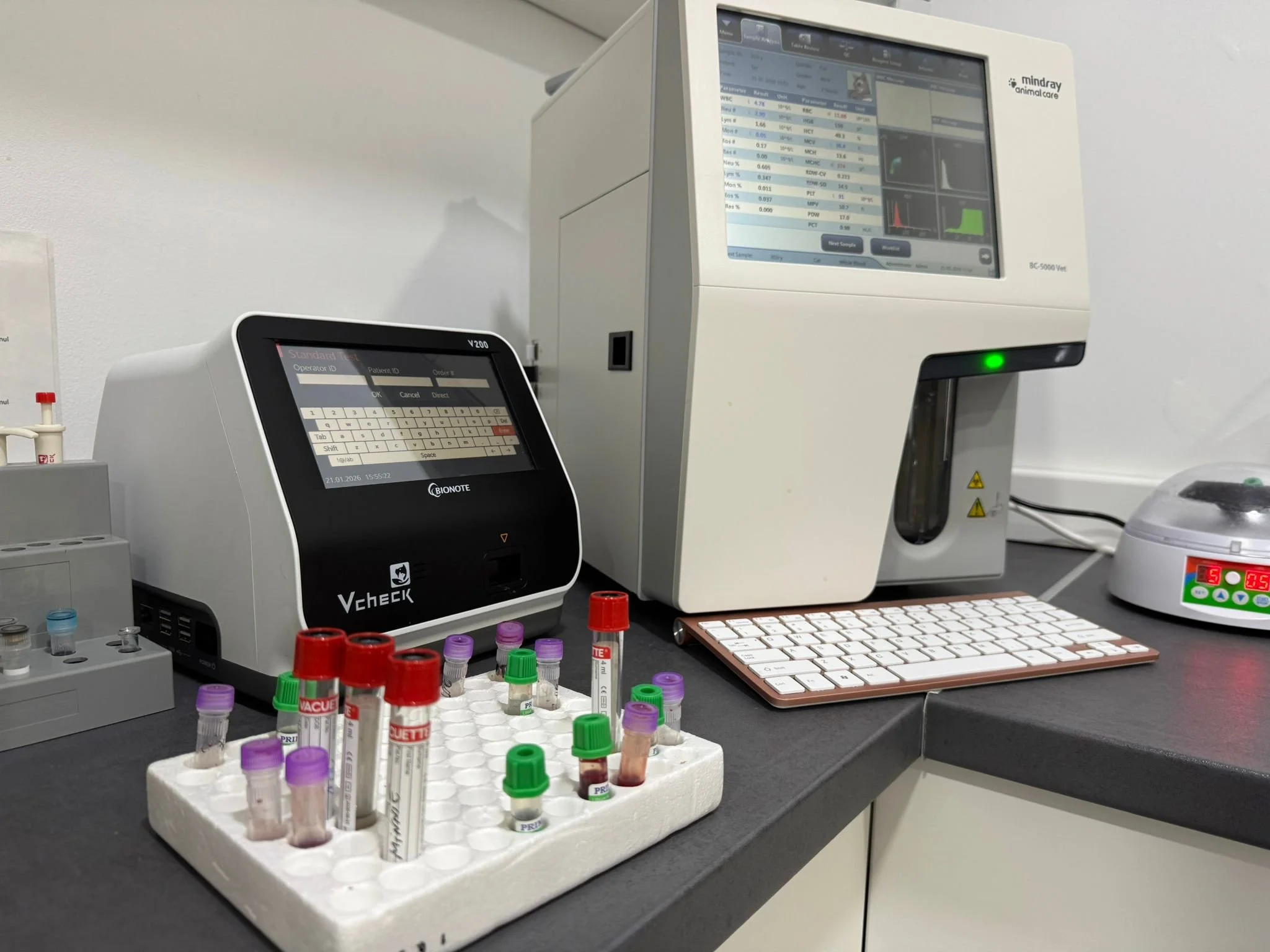 Rolul analizelor de sânge și urină în depistarea precoce a bolilor renale la câini și pisici