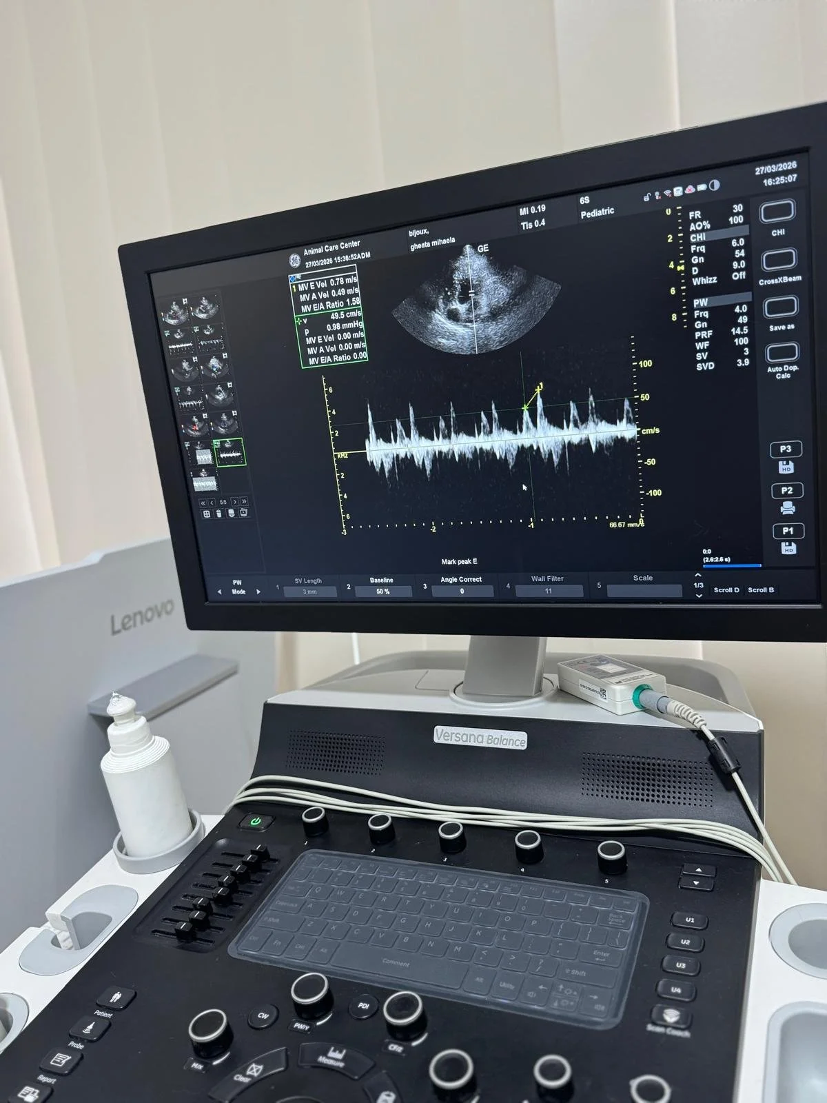 Ce cauzează insuficiența cardiacă la câini și cum o gestionează echipa Animal Care Center?