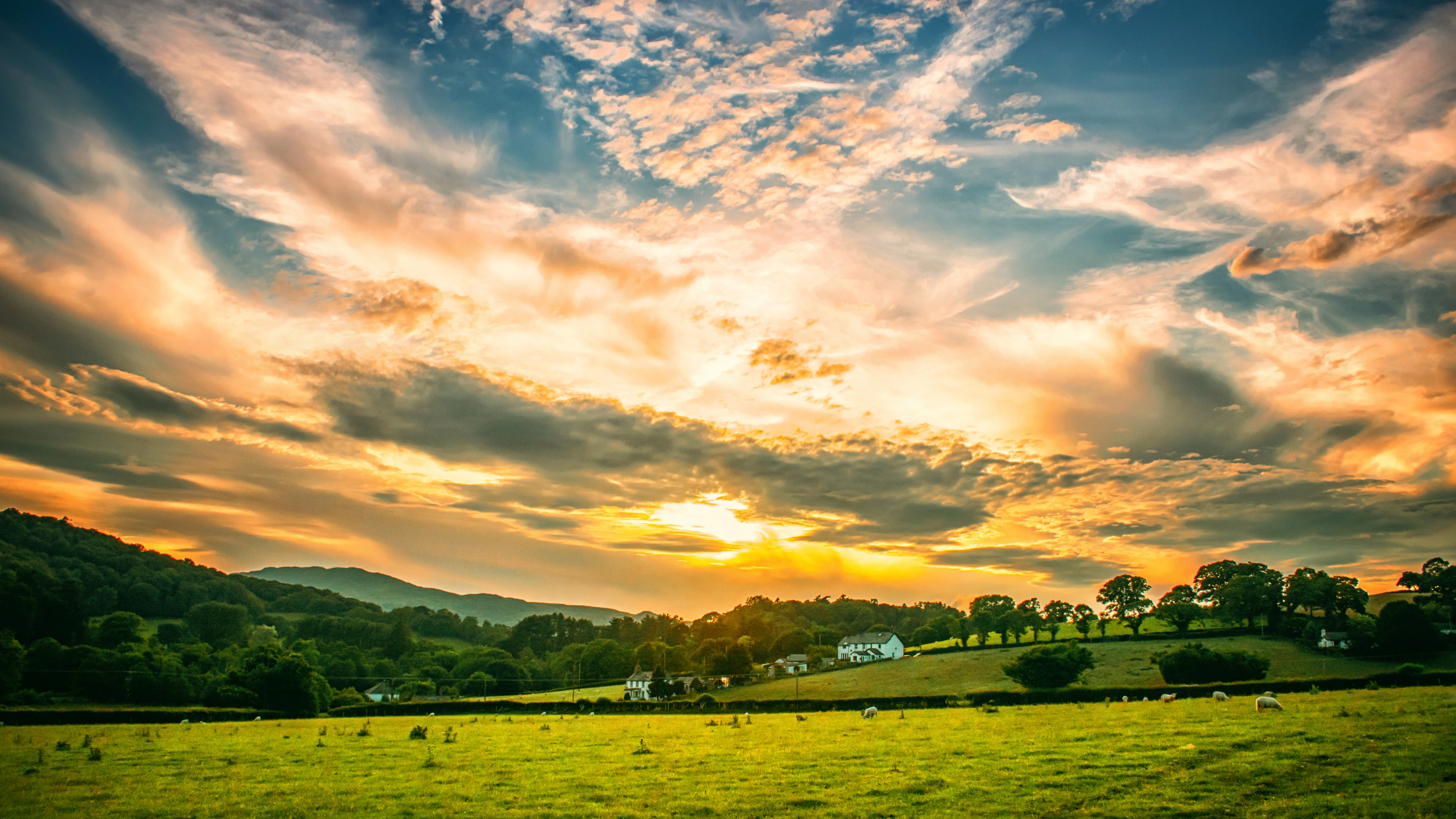 County Armagh Farmland Prices Rise Again — Kempton Redman Law