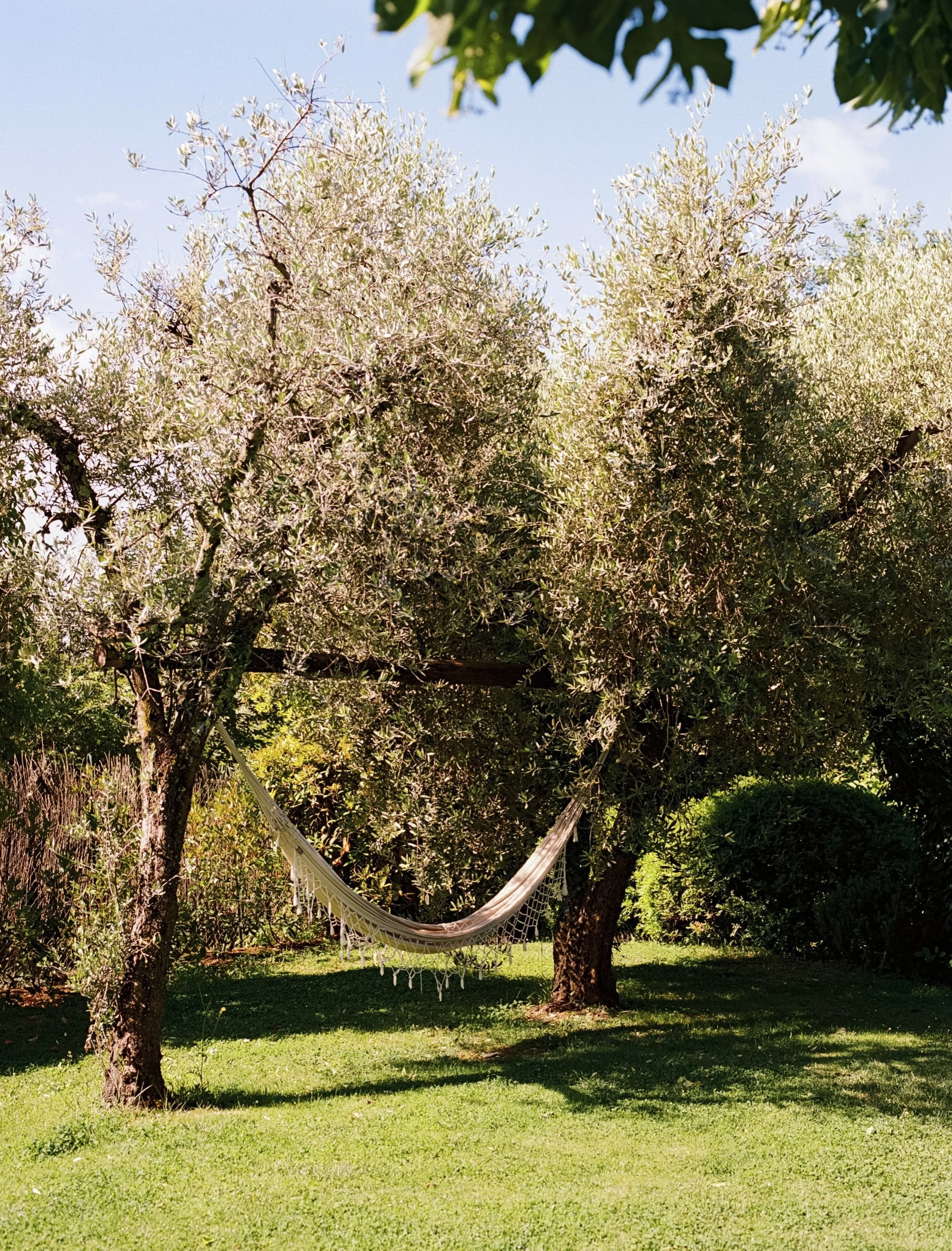 co-led my first day retreat with @meganwummer just outside of Rome in mid-May, a full day of movement, creativity, and the kind of conversations that stay with you. beautiful things keep coming. 

thank you @oleaitaly for hosting us 🌞

#retreat 
#it