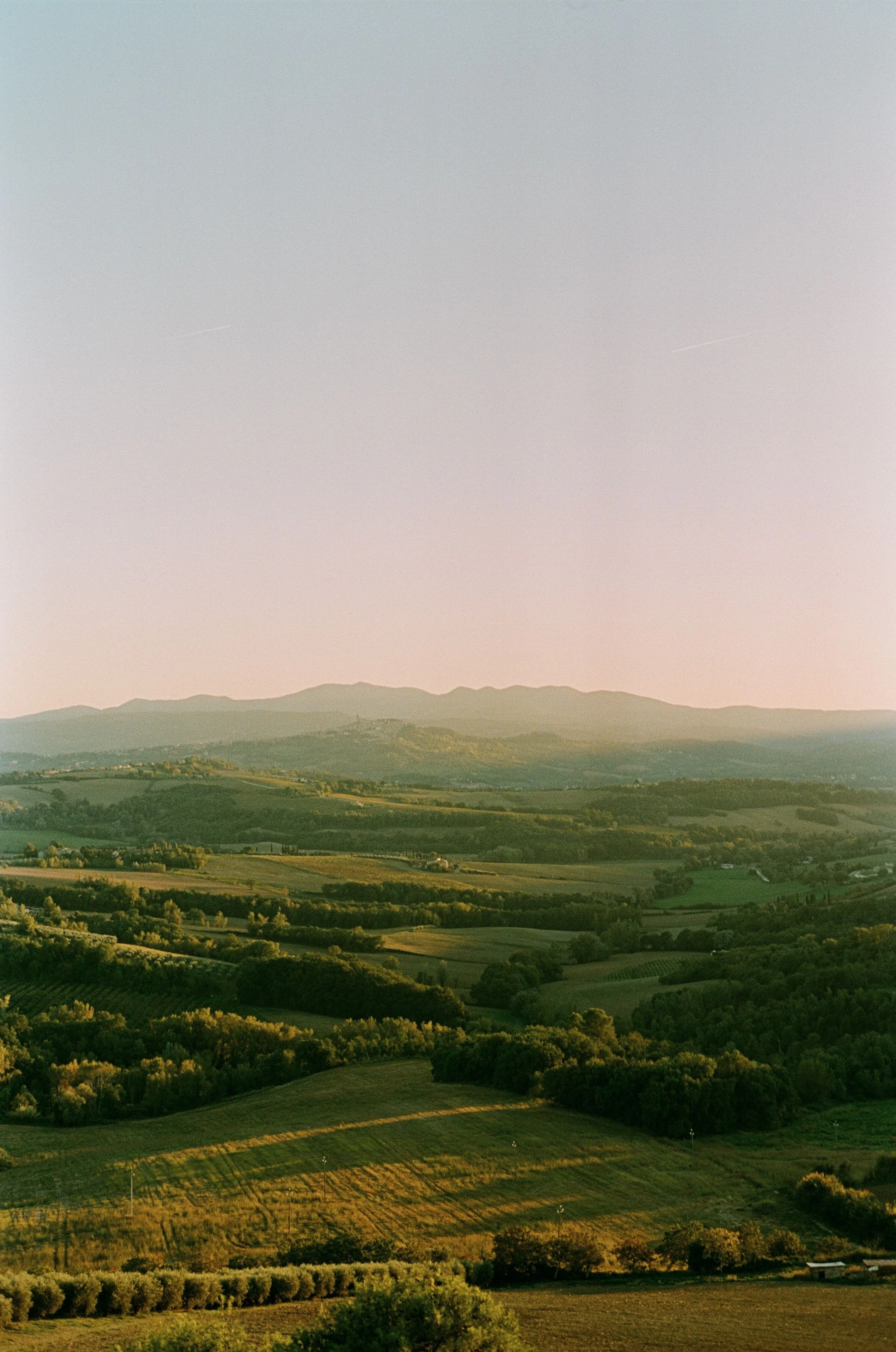 imgi_101_Todi-EmilyRowePhoto-68-67391101-2500.jpg