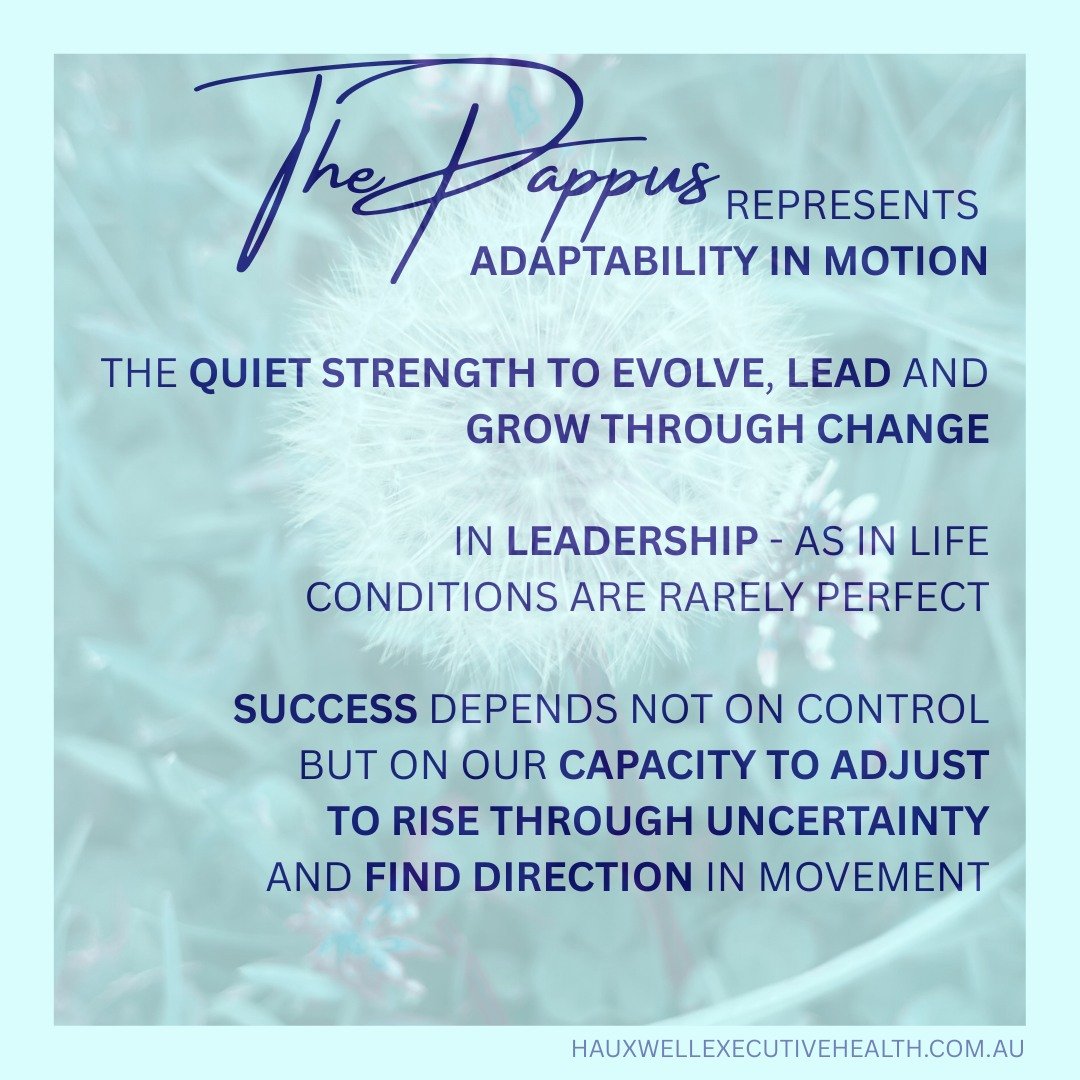 When establishing hauxWELL Executive Health, I often came back time and time again to the themes of resilience and adaptability. That is, after all, often what great leadership is about at its core right? The need to remain steadfast through times of