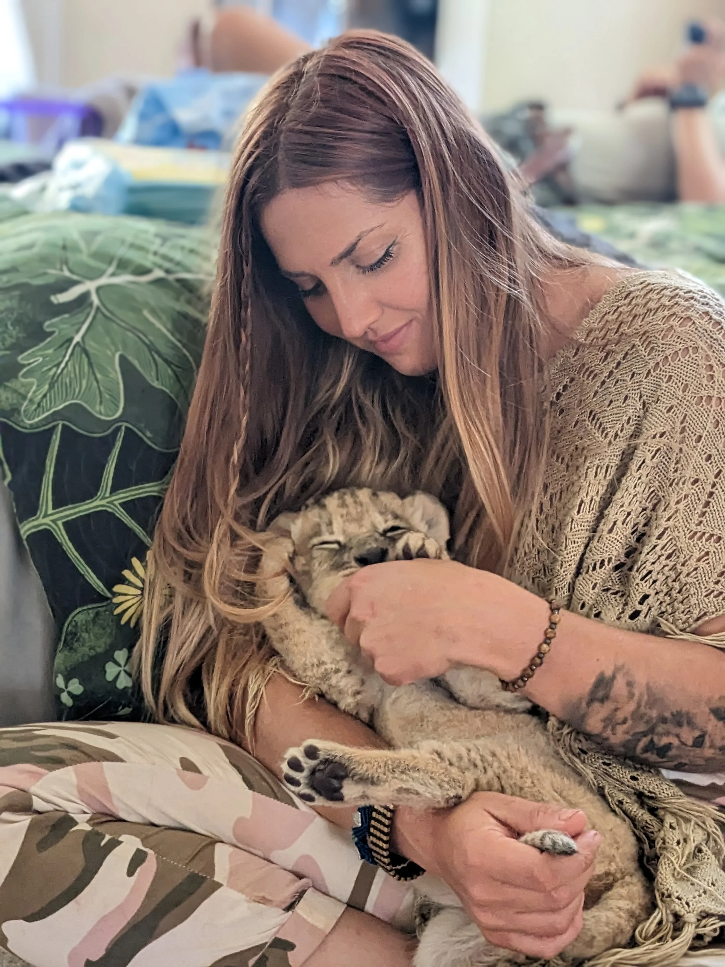 Lion cuddle time
