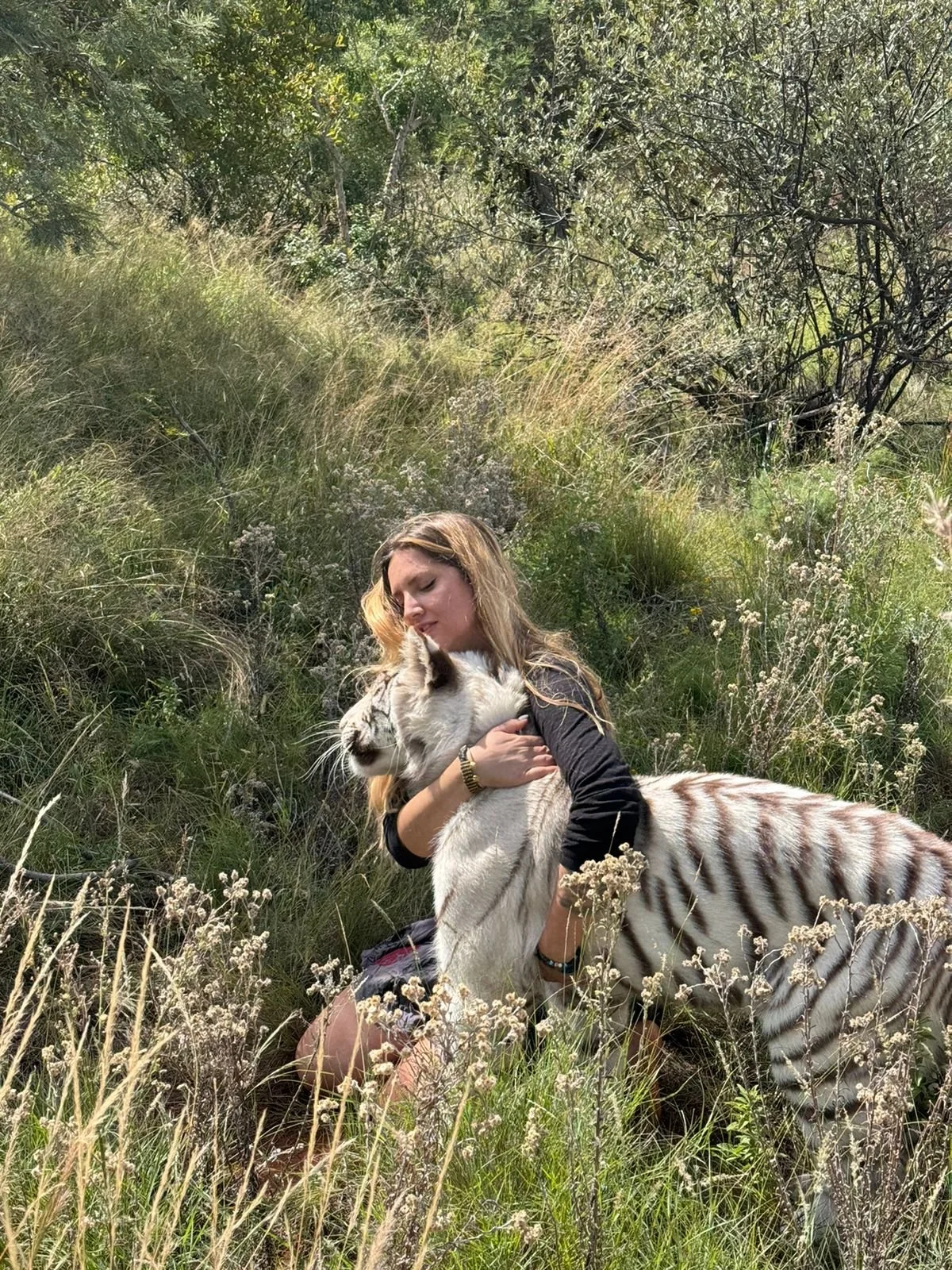 Tiger love 