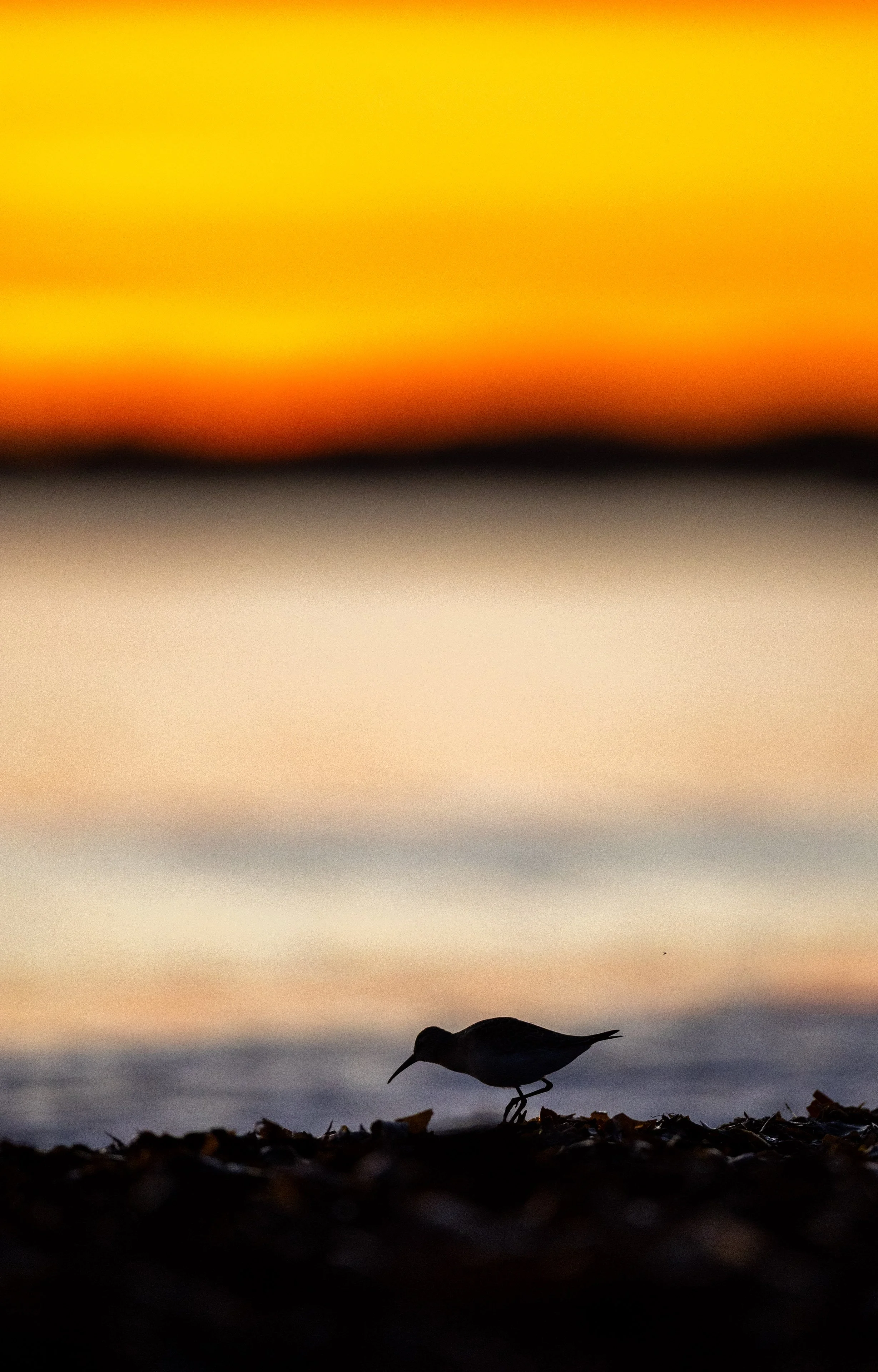 I solnedgang på Lista