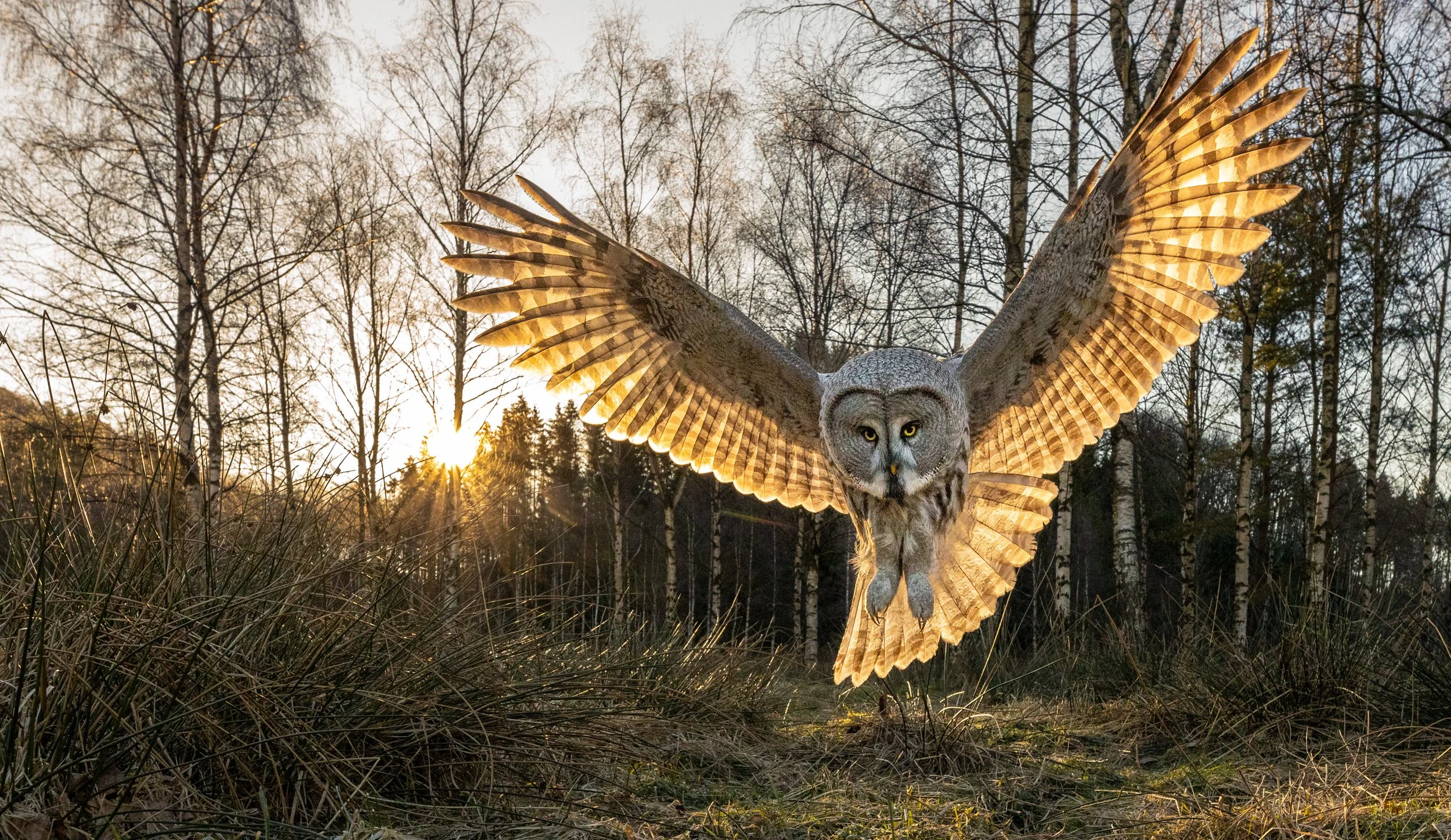 Inn for landing