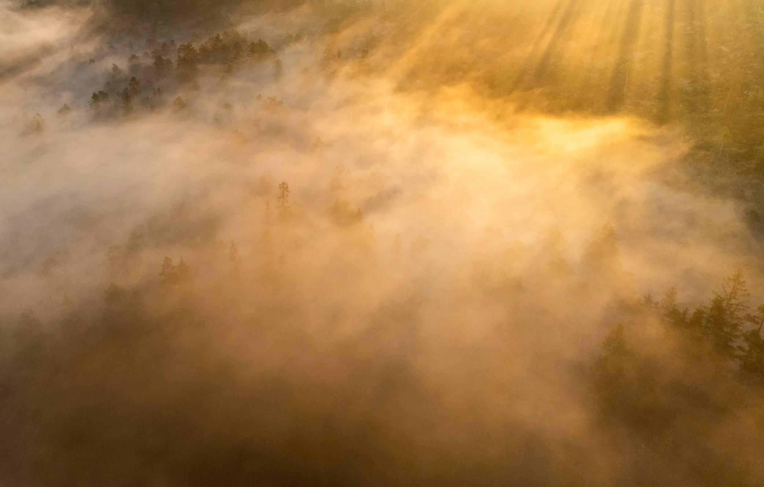 Morgensol