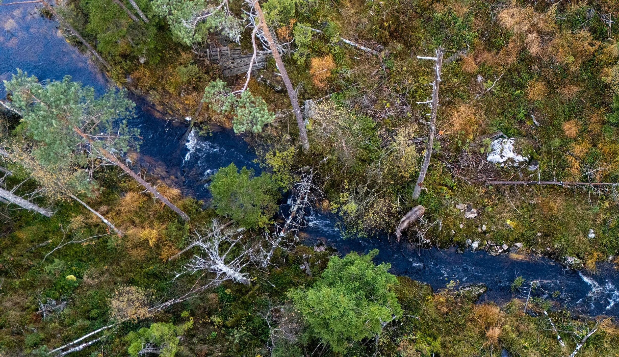 DJI_20251006080622_0361_D.jpg