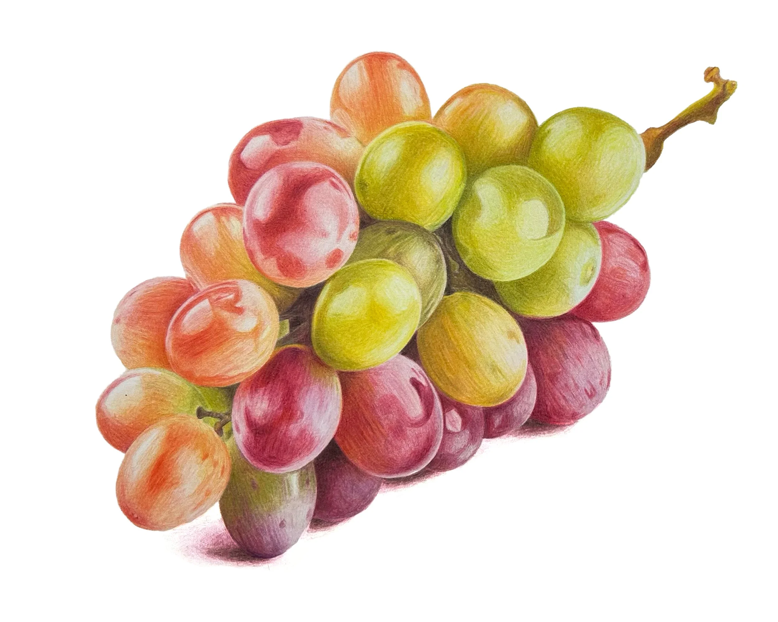grapes.jpg