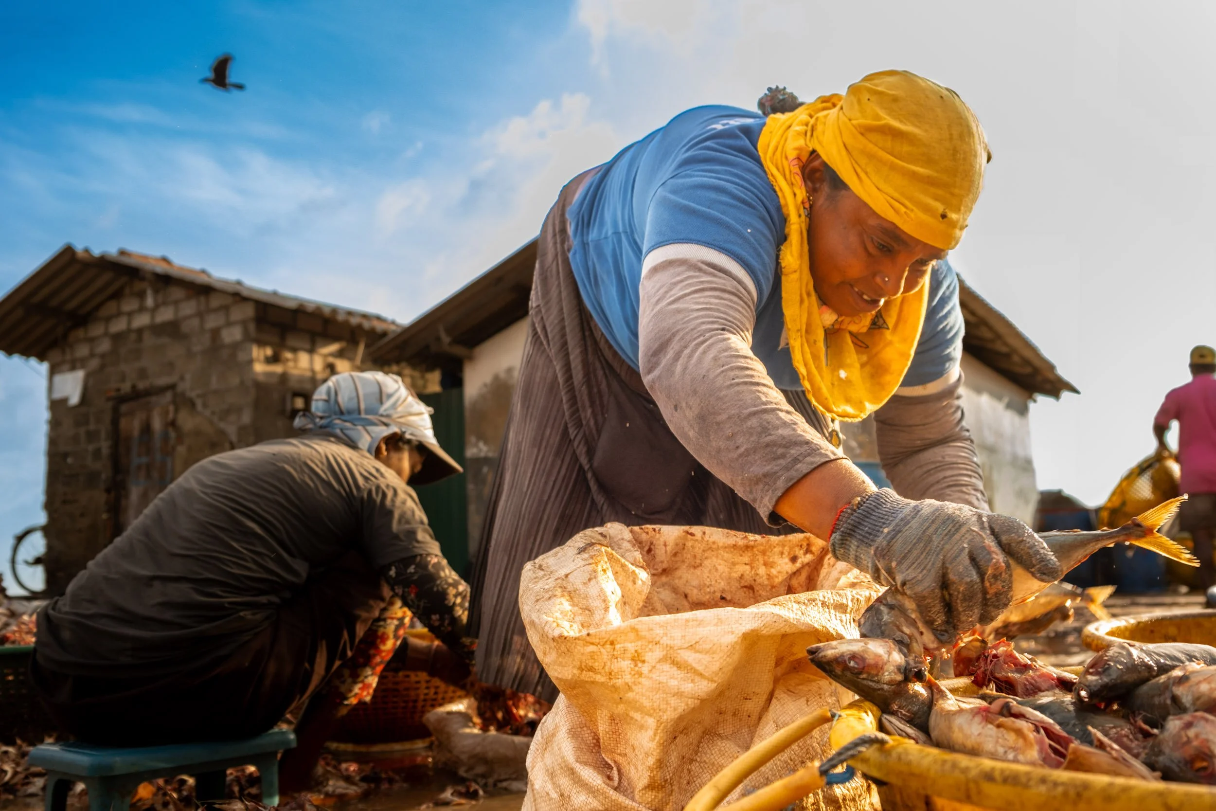 Ben Wood photography-142.jpg