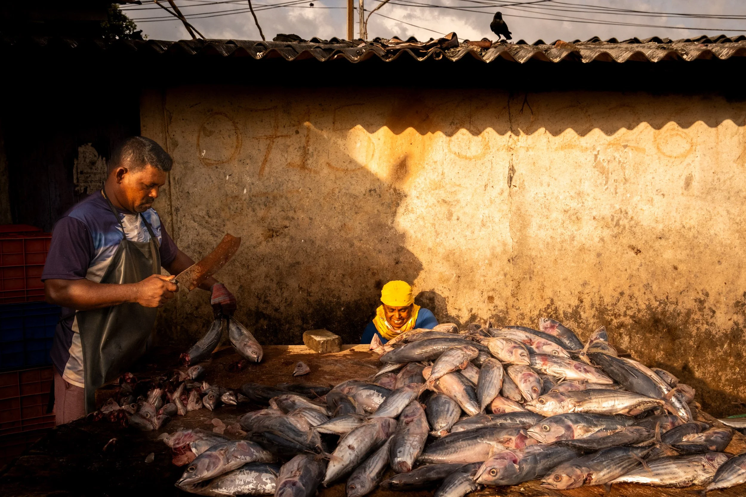 Ben Wood photography-150.jpg