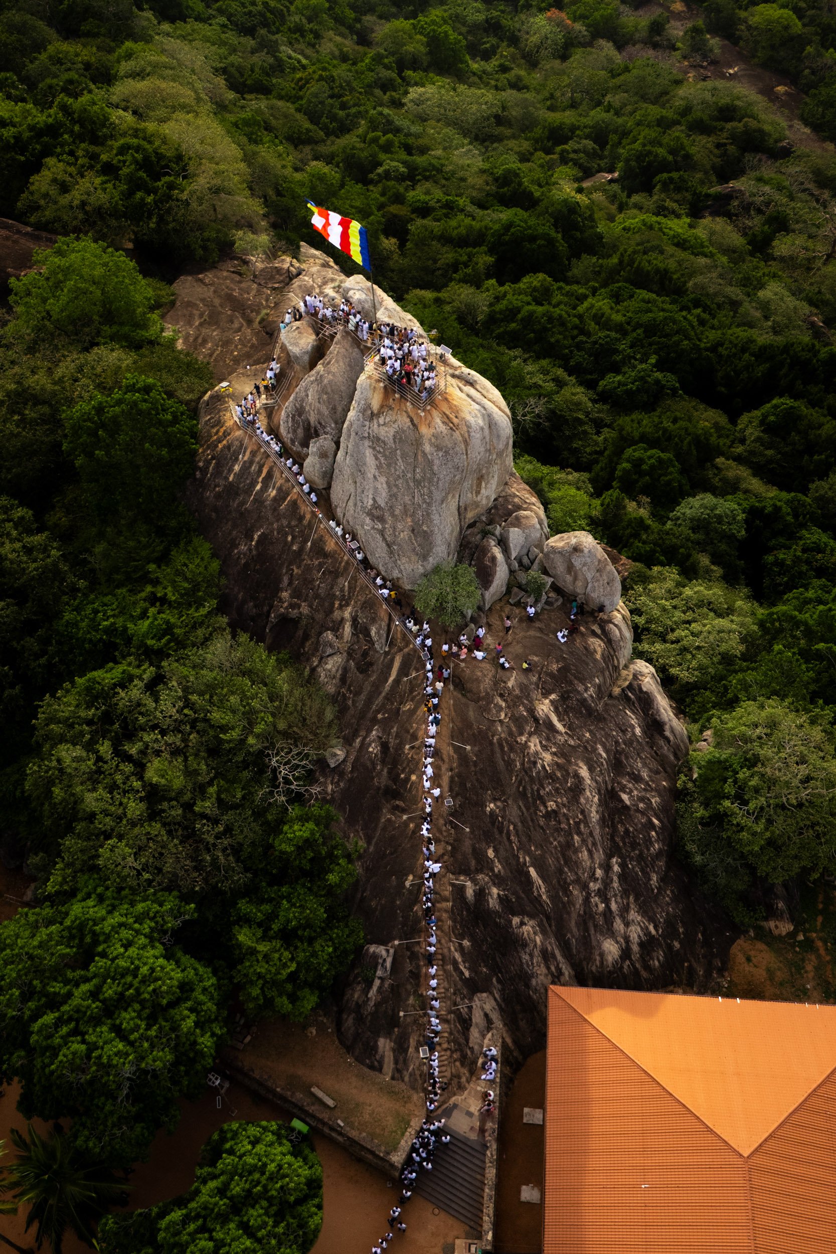 Ben Wood photography-127.jpg