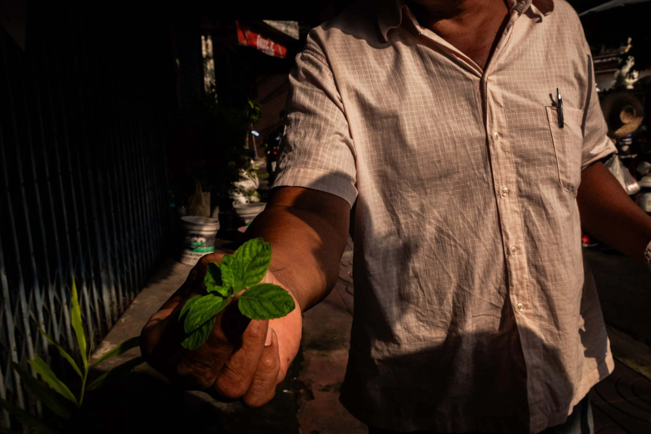 Ben Wood photography-097.jpg