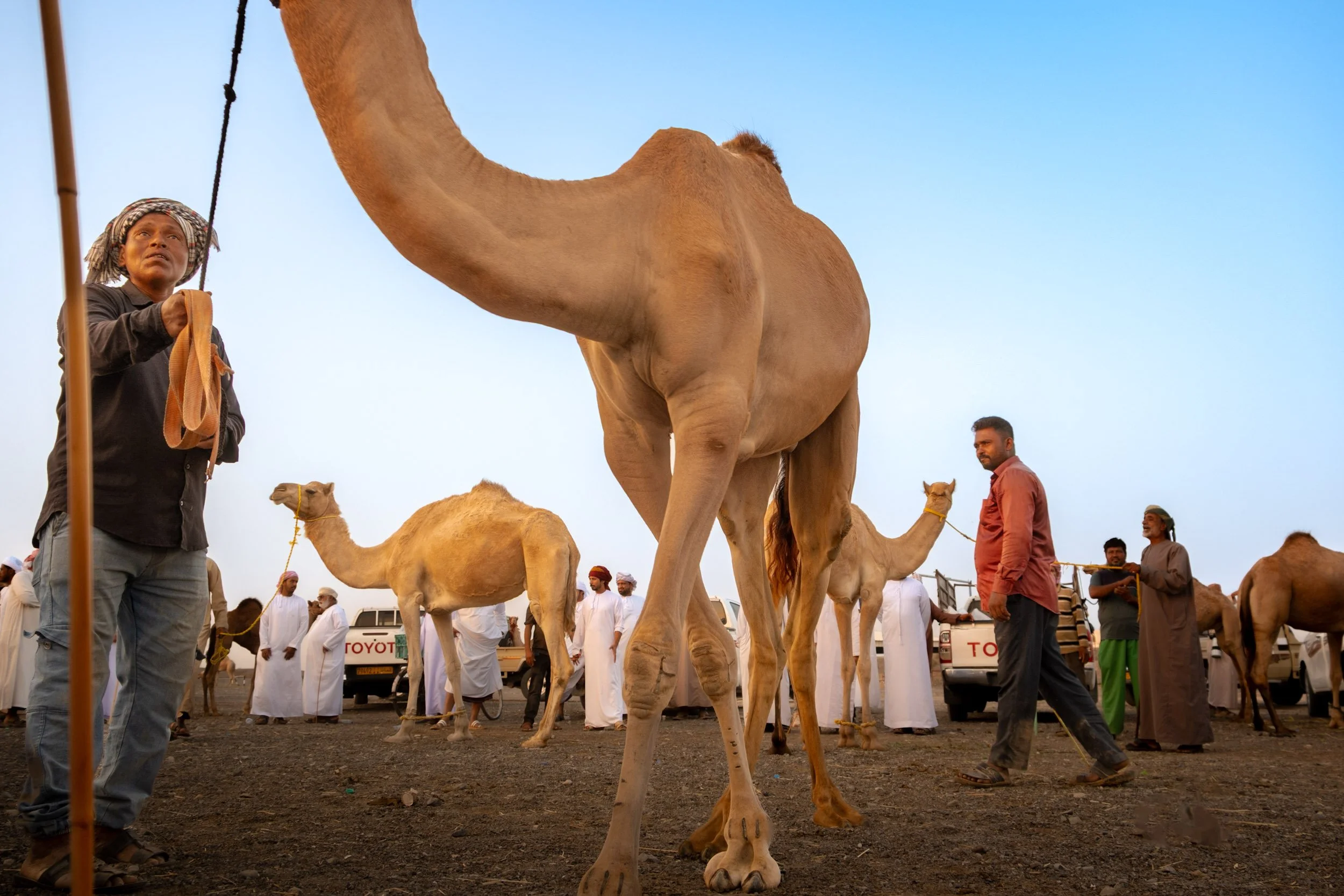 Ben Wood photography-049.jpg