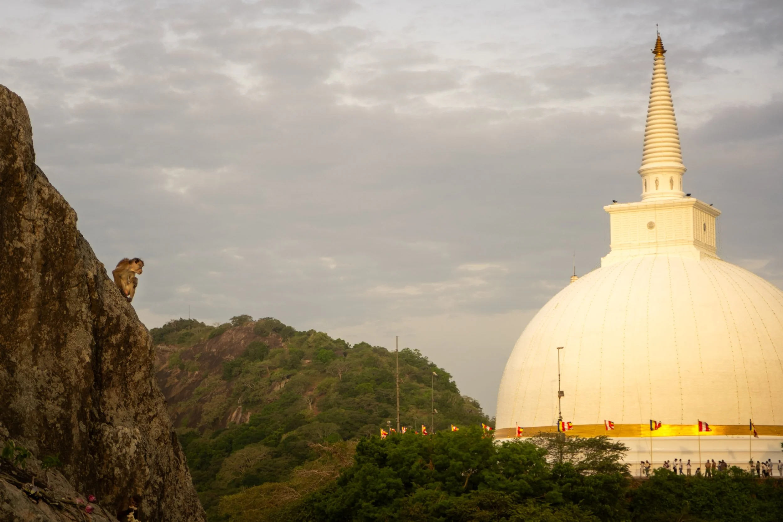 Ben Wood photography-128.jpg