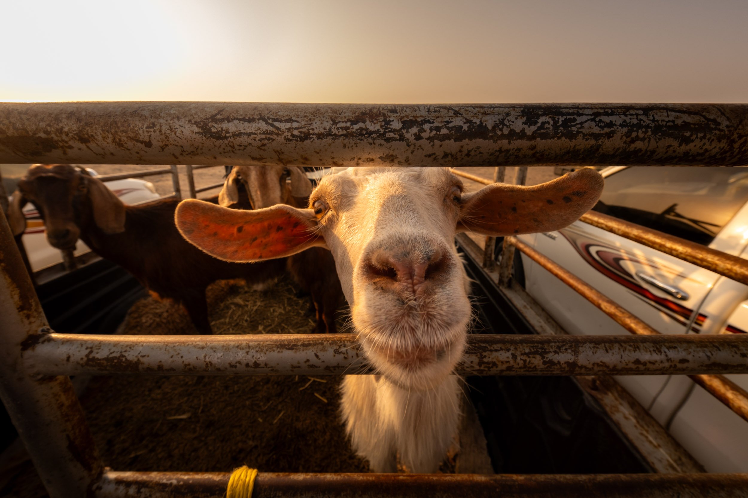 Ben Wood photography-063.jpg