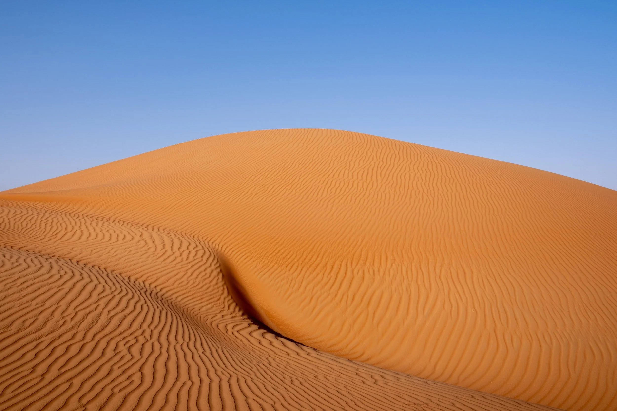 Ben Wood photography-042.jpg