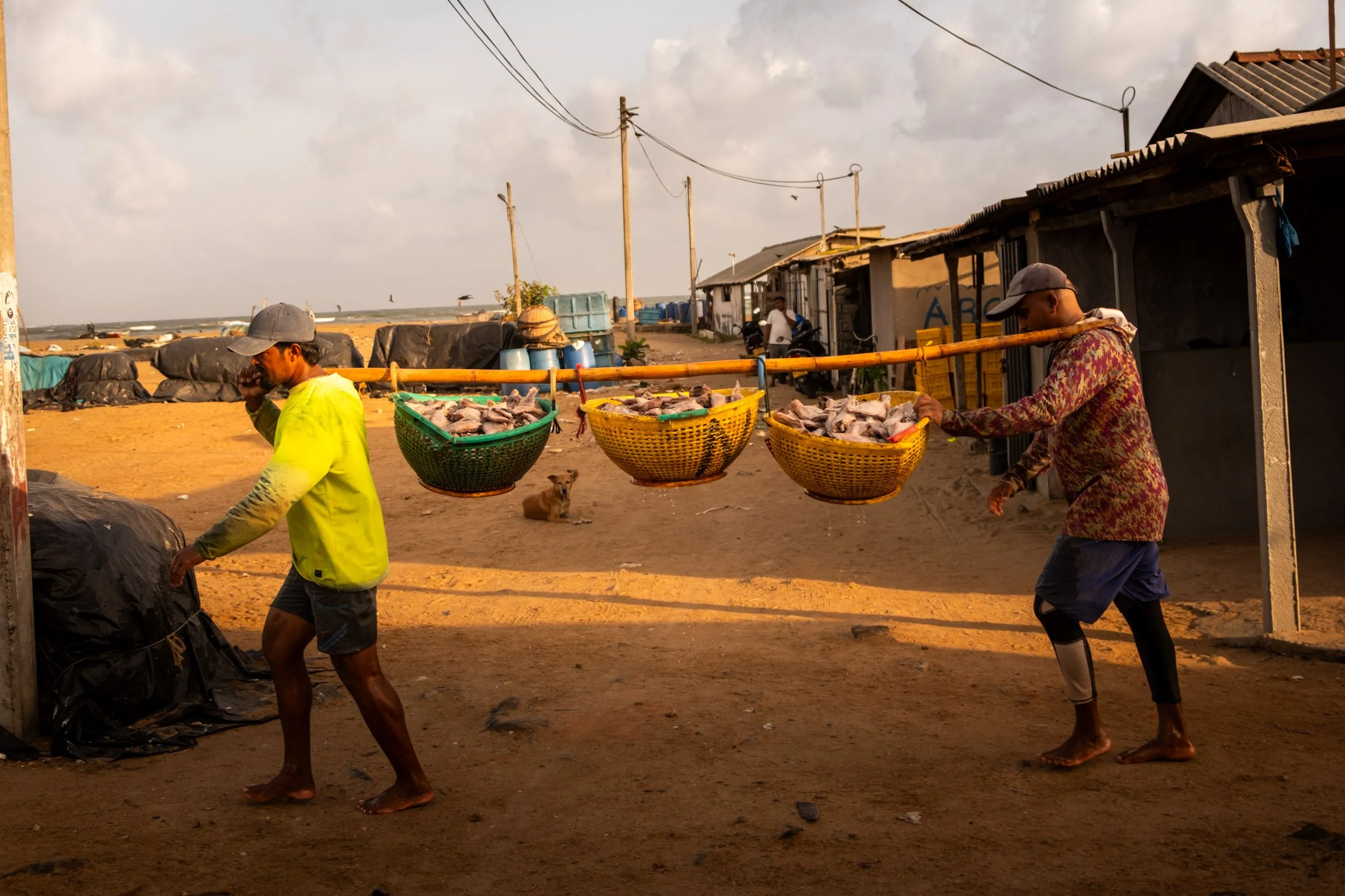 Ben Wood photography-144.jpg