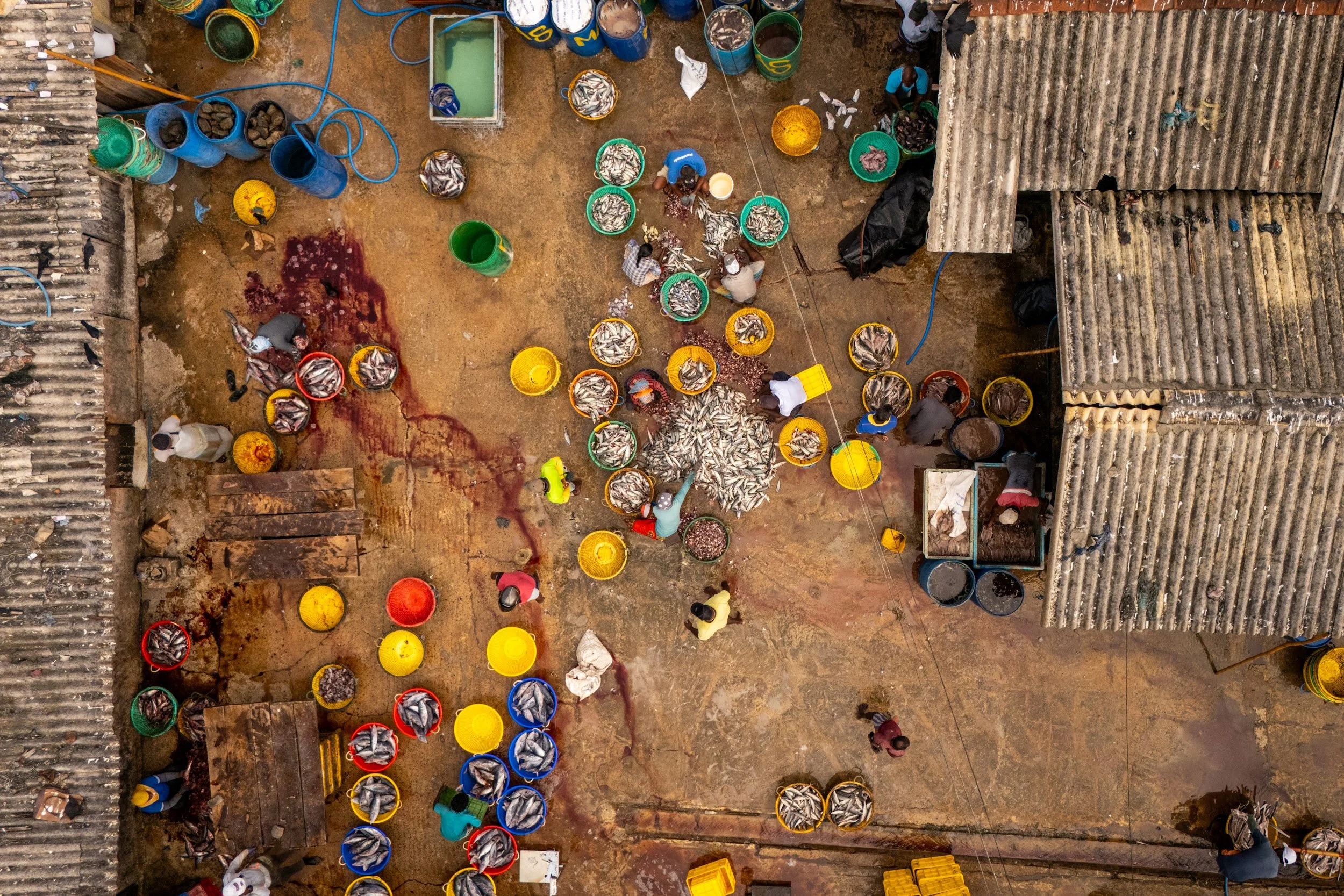 Ben Wood photography-119.jpg