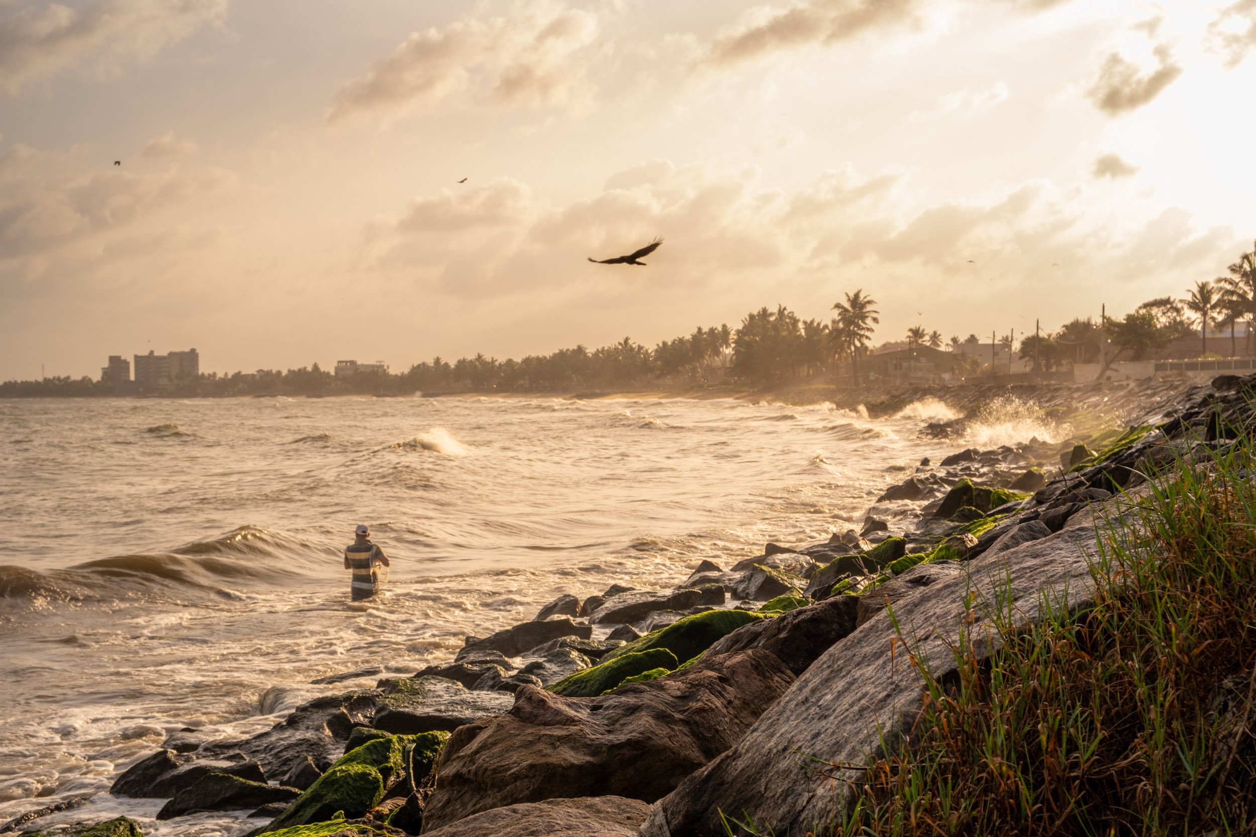 Ben Wood photography-137.jpg