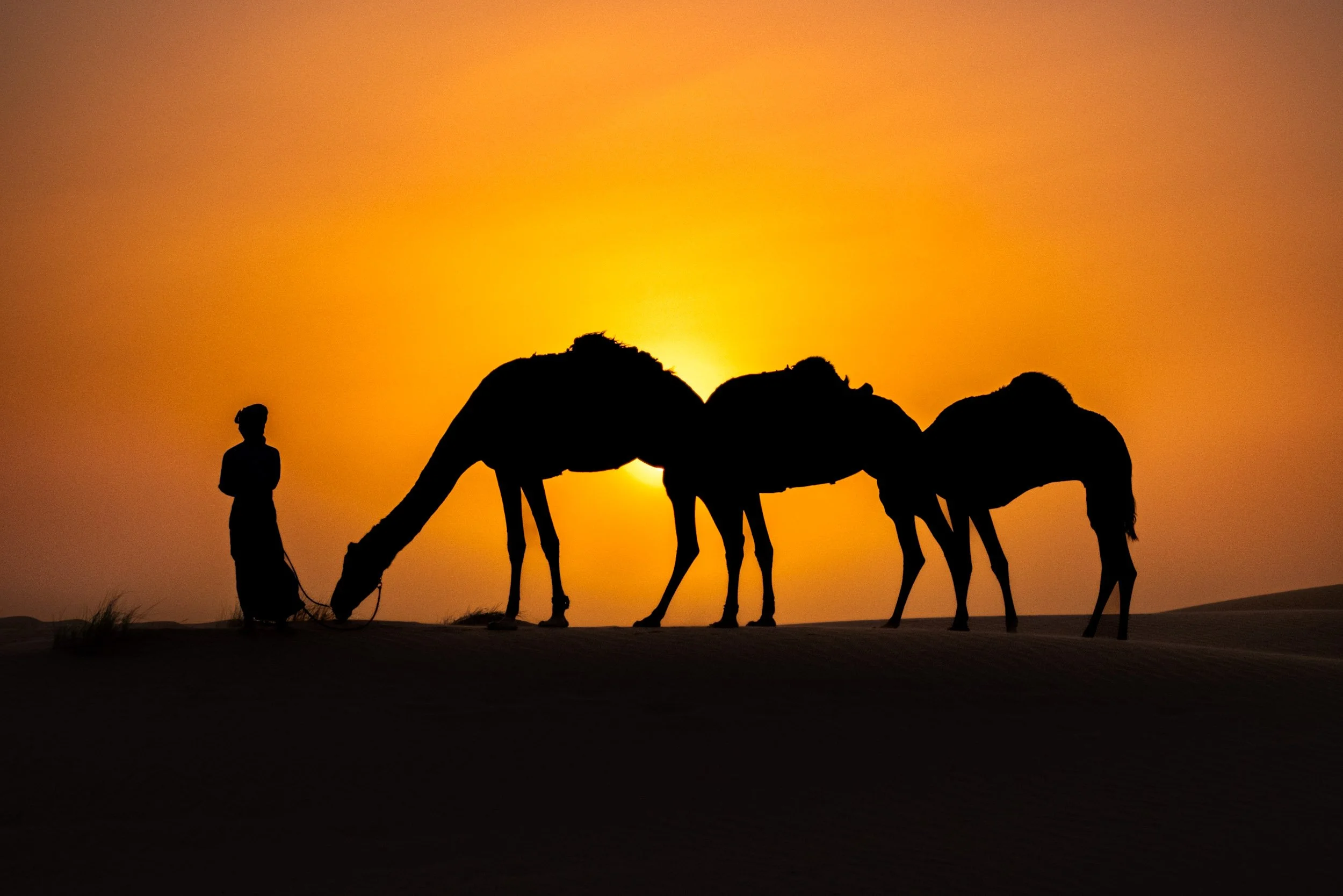 Ben Wood photography-029.jpg