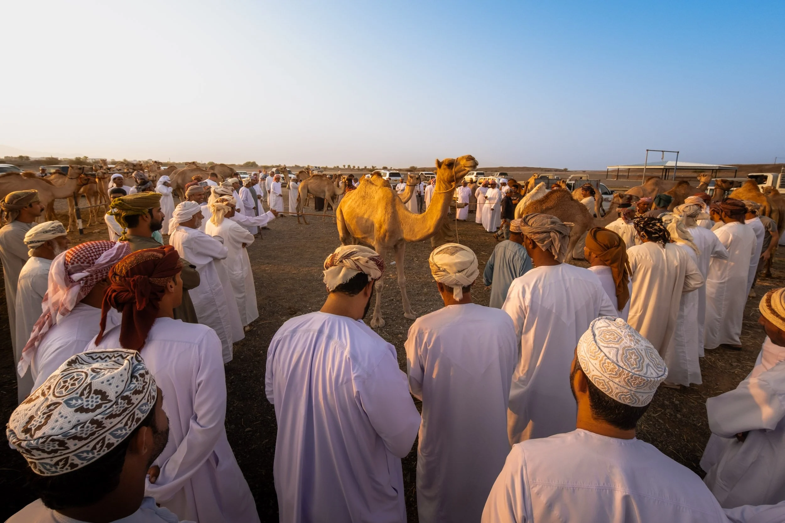 Ben Wood photography-050.jpg