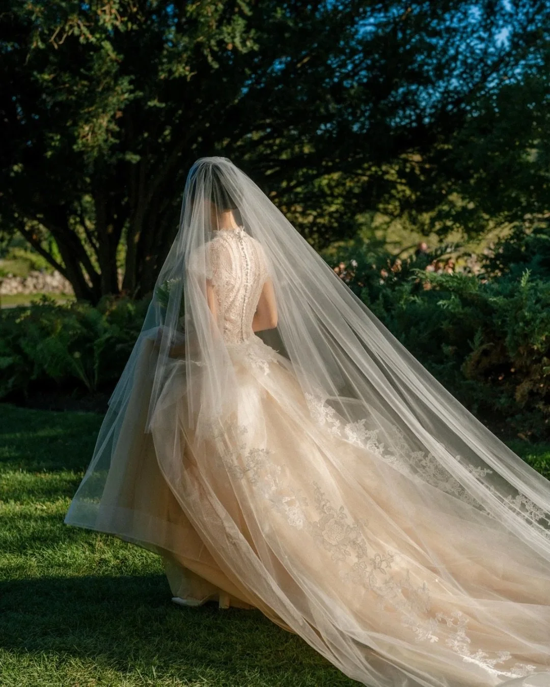 Selects from C&amp;B&rsquo;s beautiful weekend at @glynwoodevents 

Planning by @lepetiteprive 

@theweddingartistsco 
@cathyhu_ 
@verawanggang 
@predamebeauty 
@erinbraundesign 
@theandrewsfilms 
@iviejoyfloralarts
