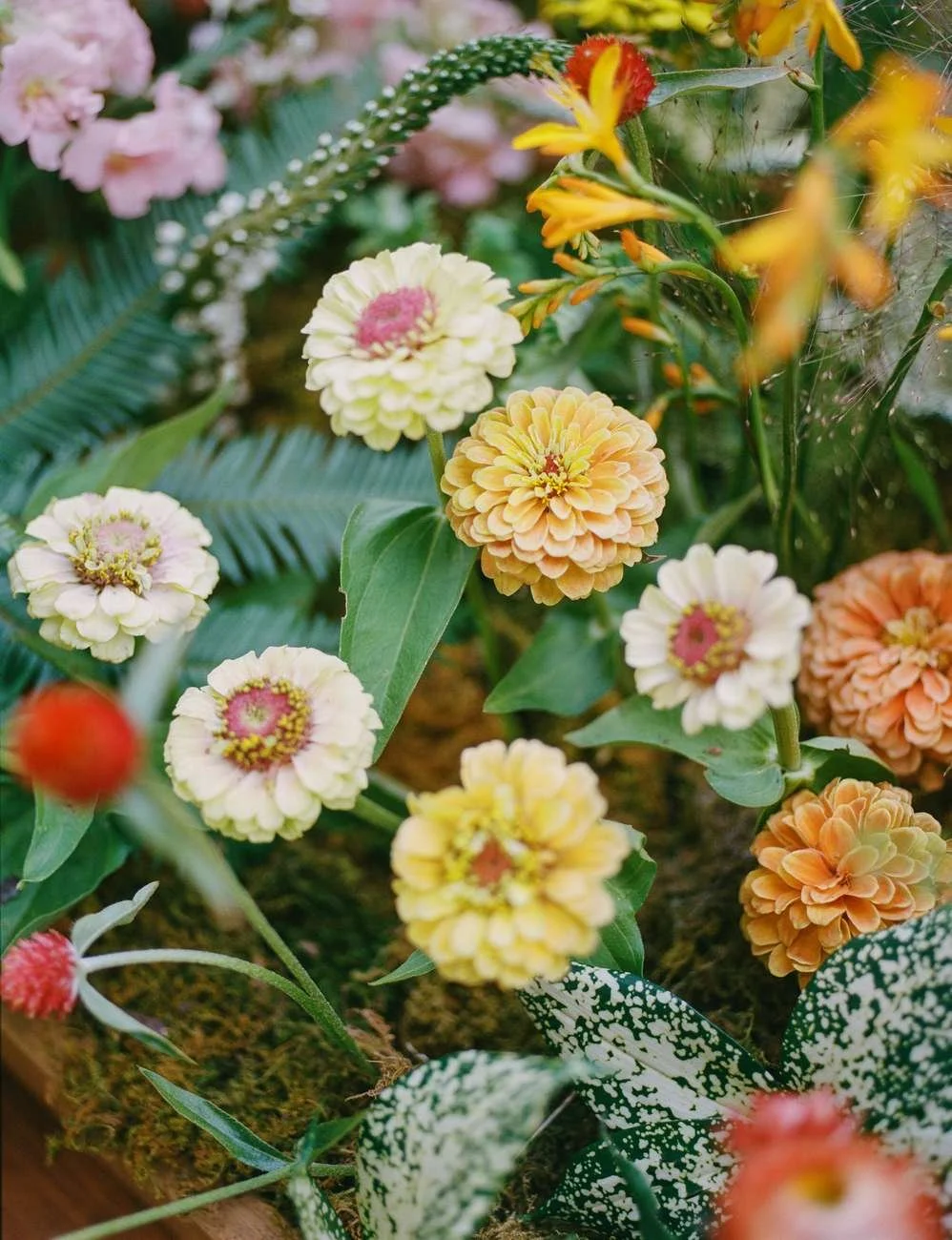 Colorful garden flowers including yellow, cream, orange, and pink blooms.