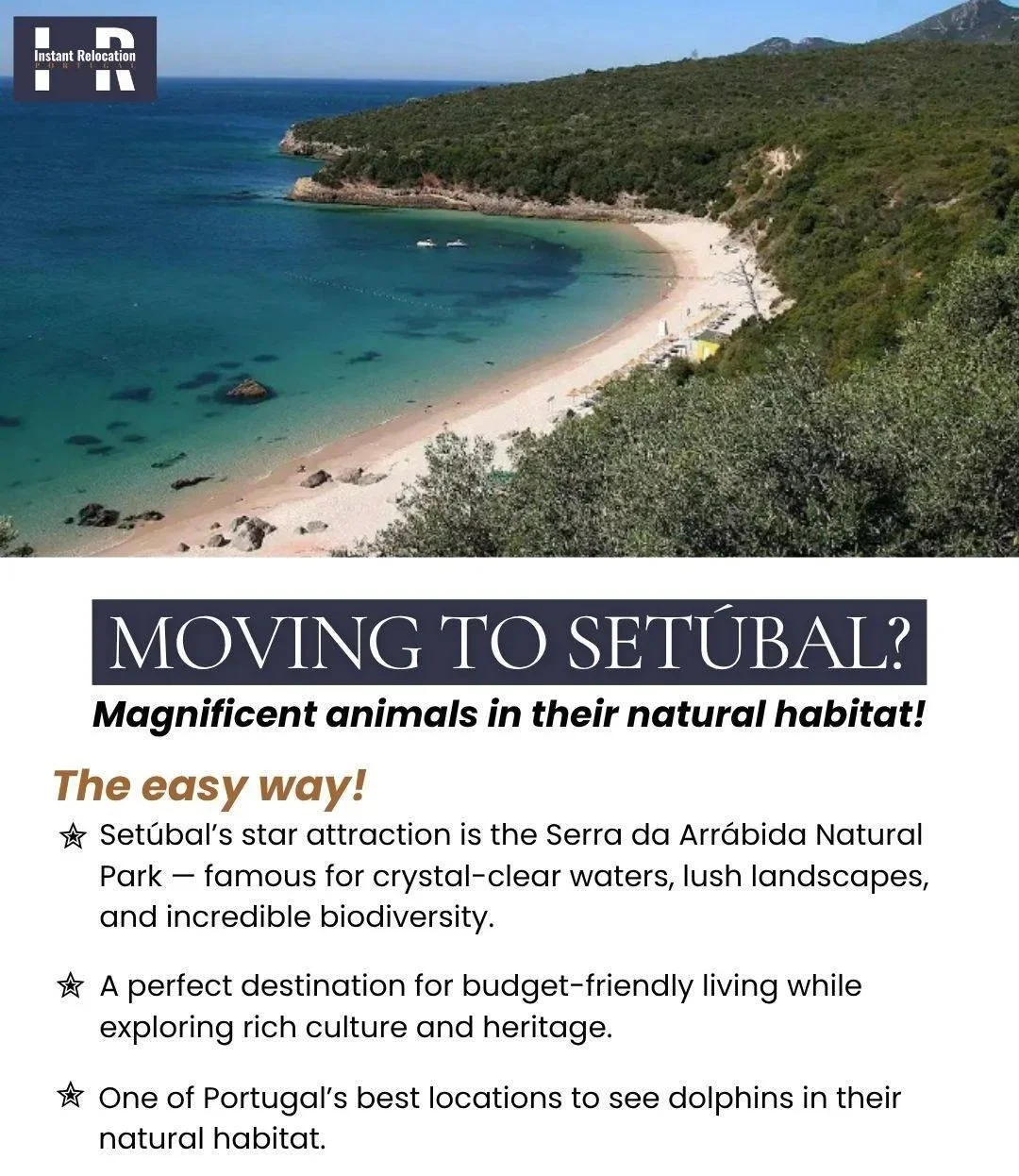 Pegasi Leads Worldwide - Content 12 for our Client Instant Relocation Portugal