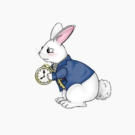 rabbit_ill.jpg