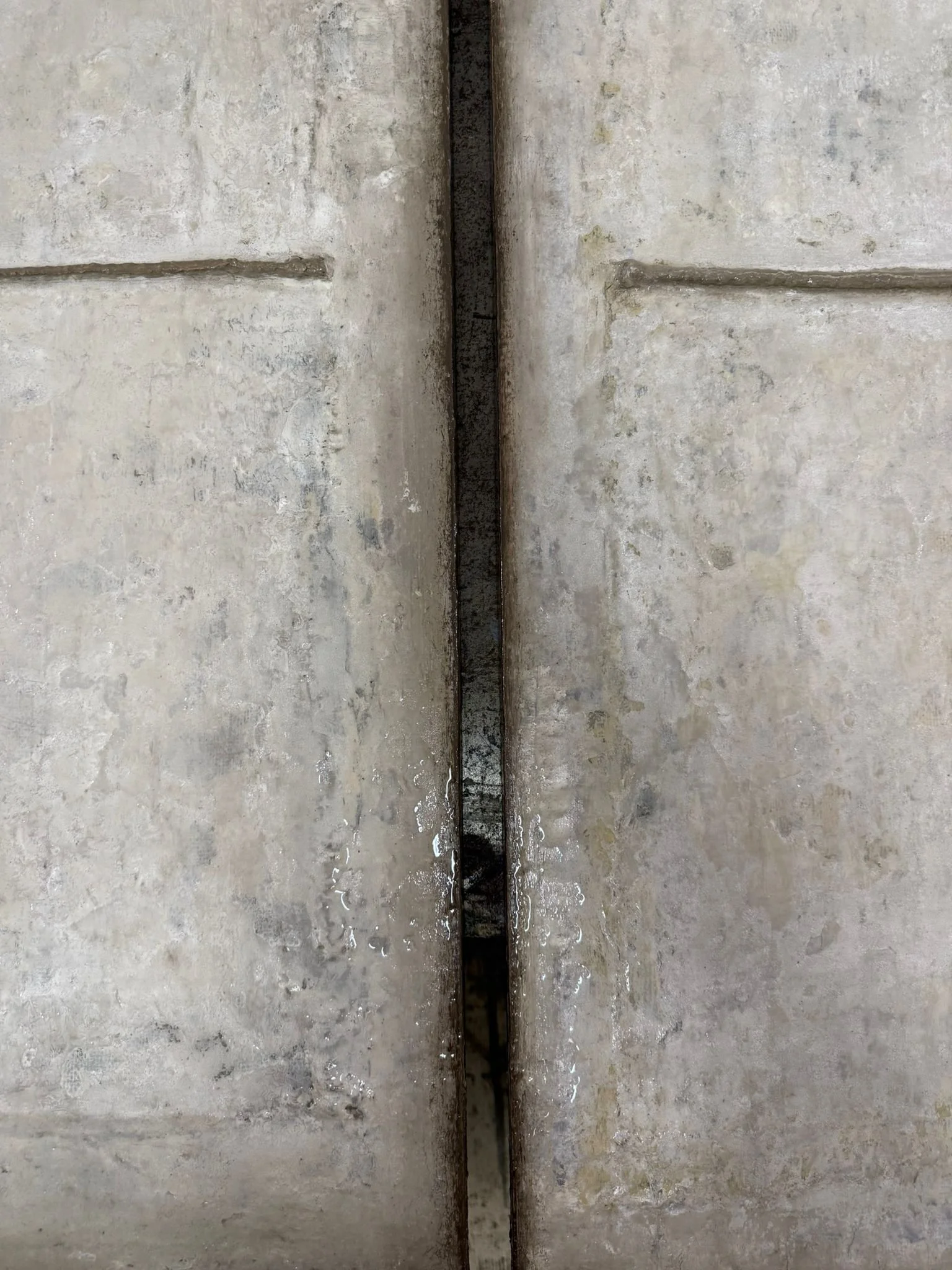 Paolo Fiore | febbraio 2026