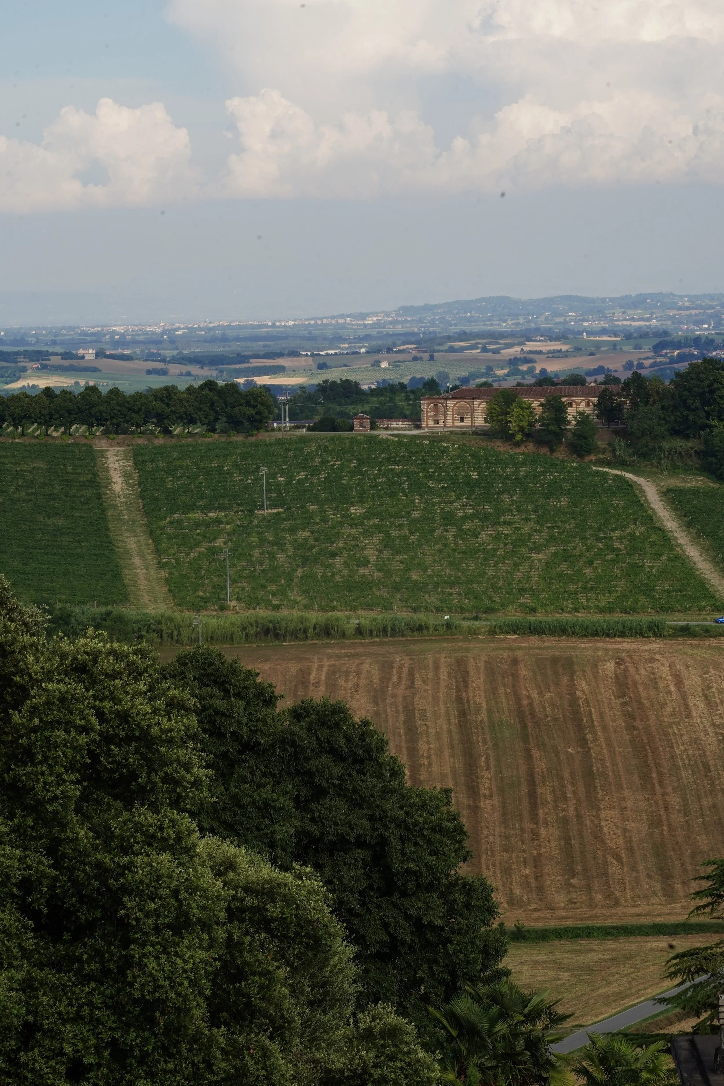 Paesaggio rurale con colline verdi, campi coltivati e un edificio antico in lontananza, sotto un cielo nuvoloso.