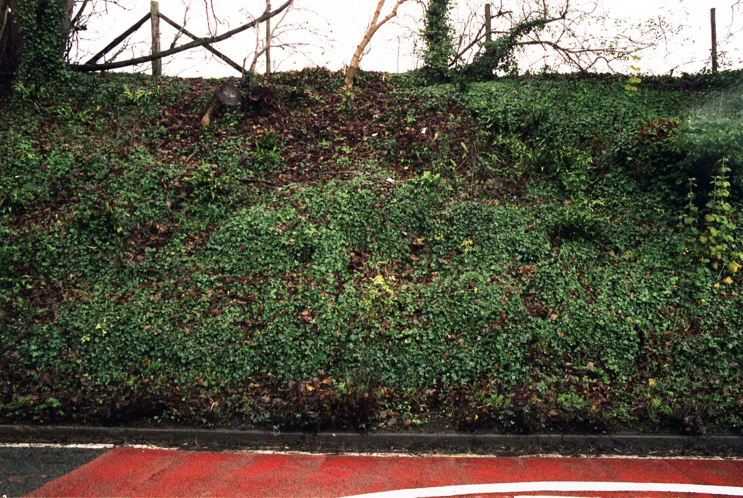 green.jpg