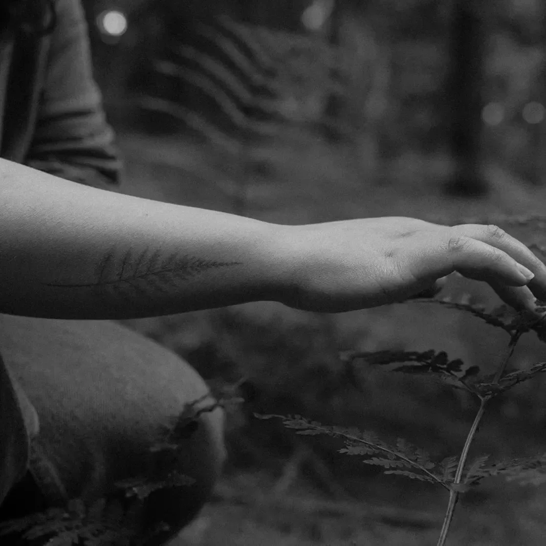 Confidence is an act of rebellion