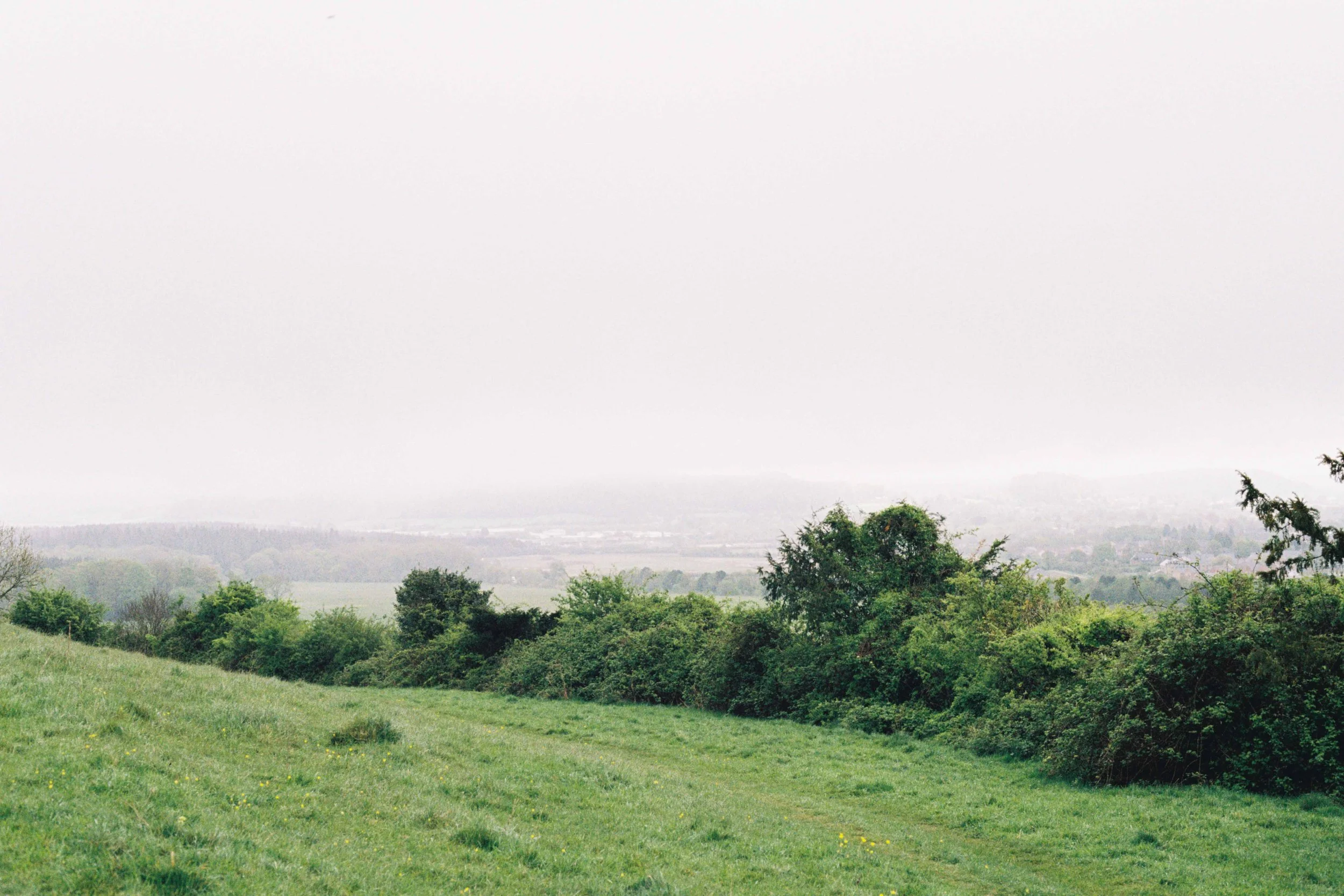 Showing up when the world is on fire