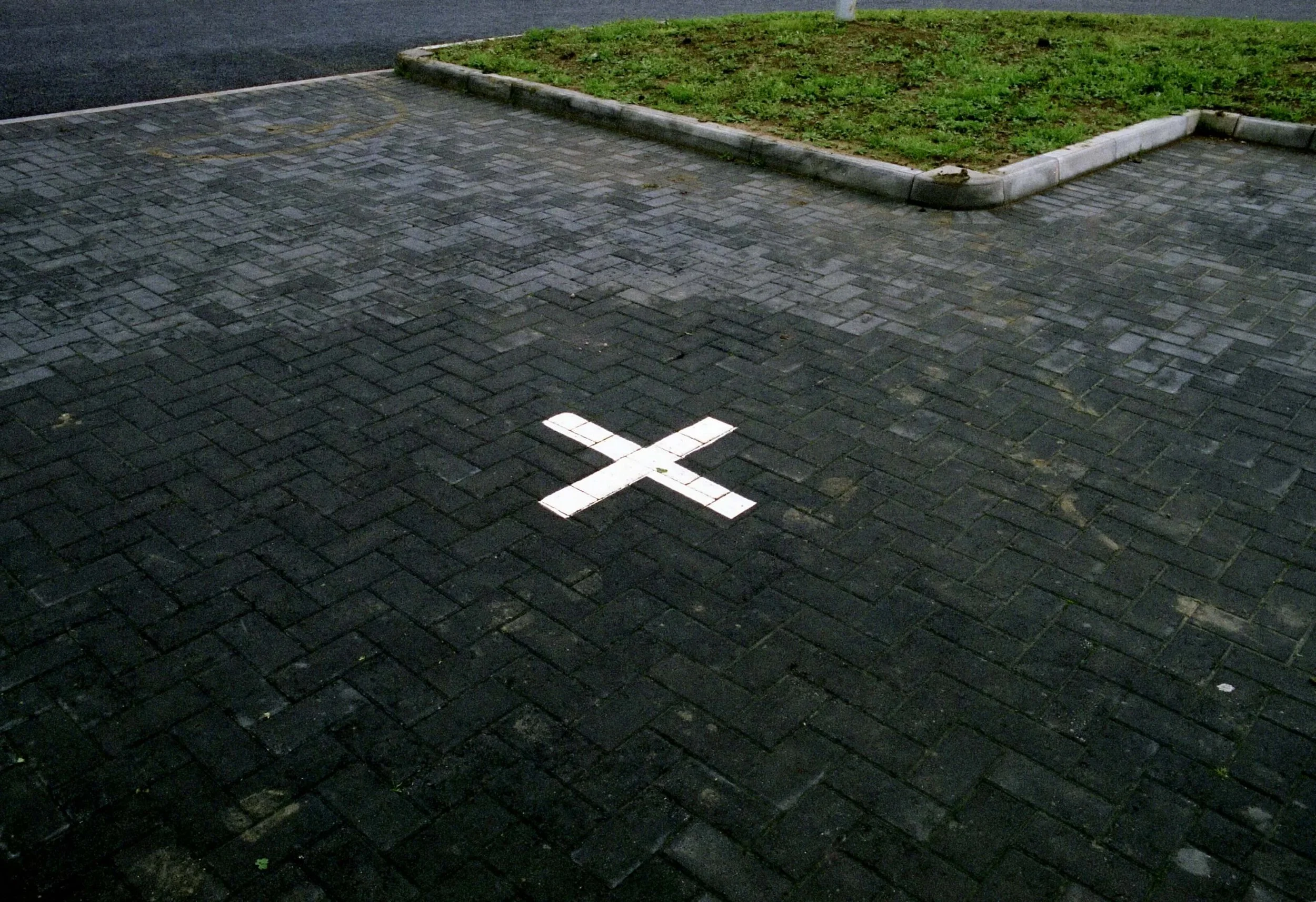 bX.jpg