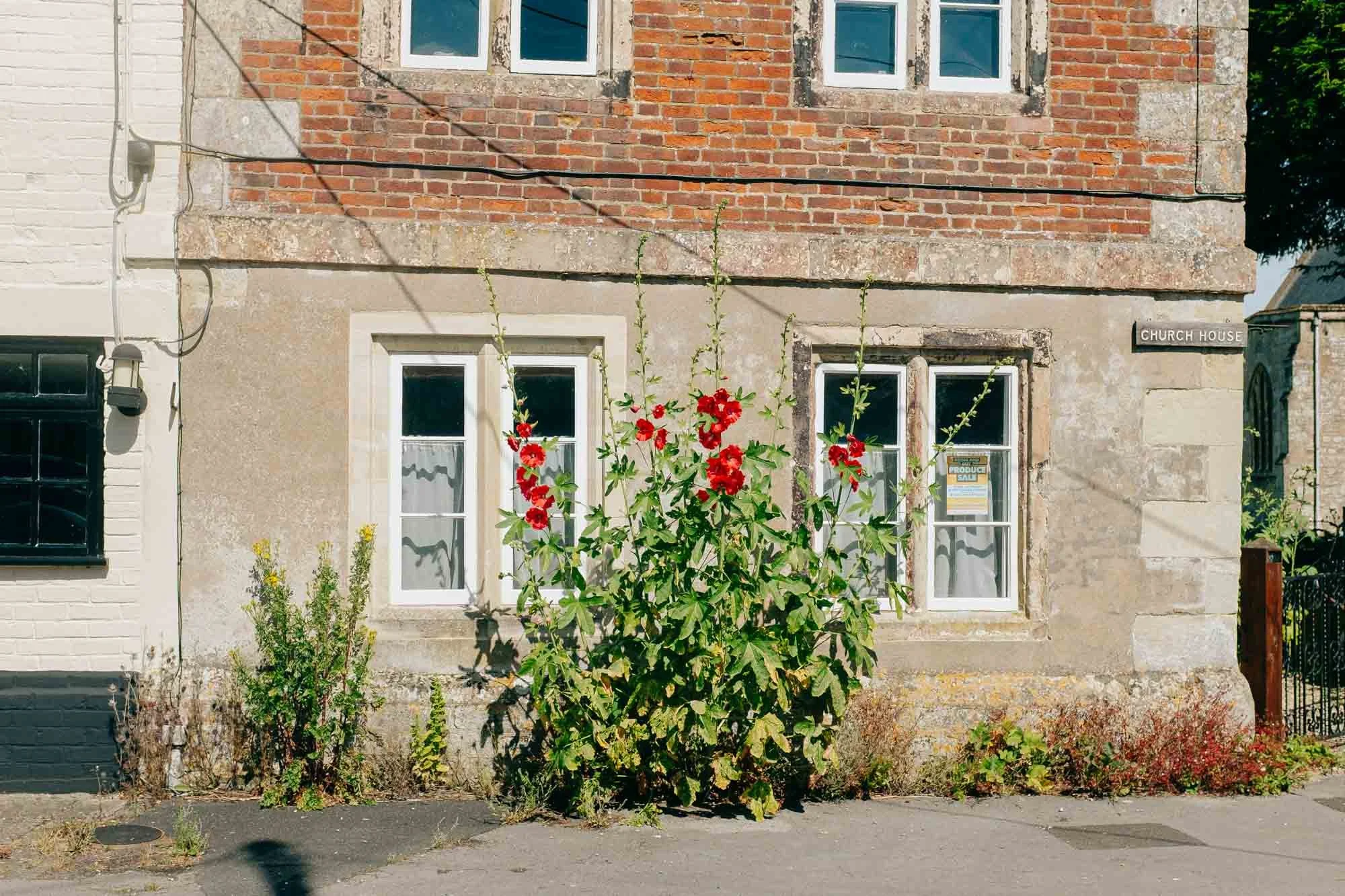 Photowalks by Celie Nigoumi, Lifestyle, Editorial, Events Brand and Portraits Photographer in Frome, Somerset