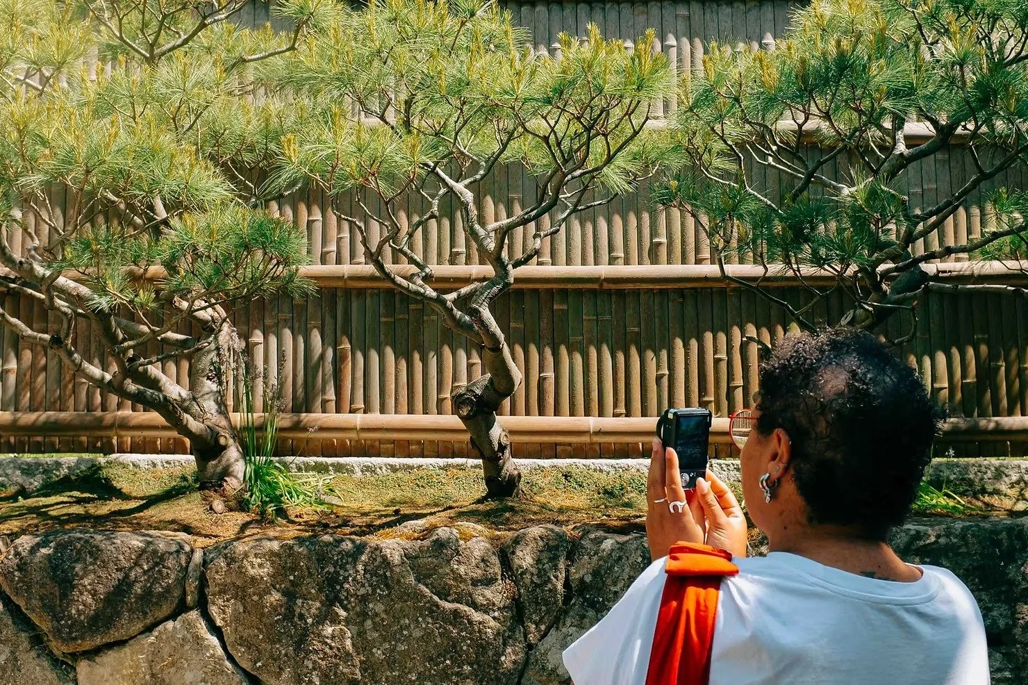 A person with short curly hair and earrings, wearing a white shirt with an orange strap, is taking a photo of a shaped bonsai tree with a smartphone, set against a bamboo fence backdrop.