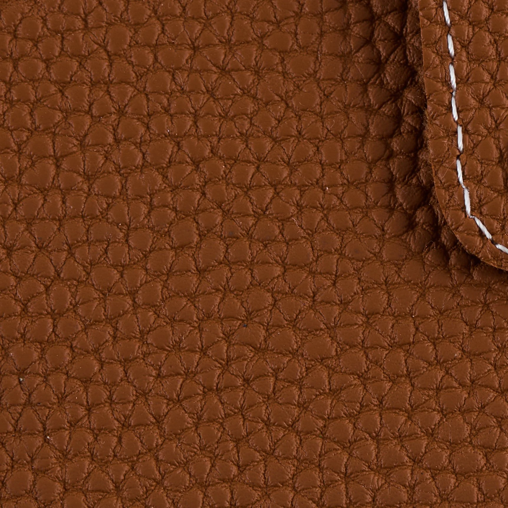 Ingrid Rossi C108_TS.jpg