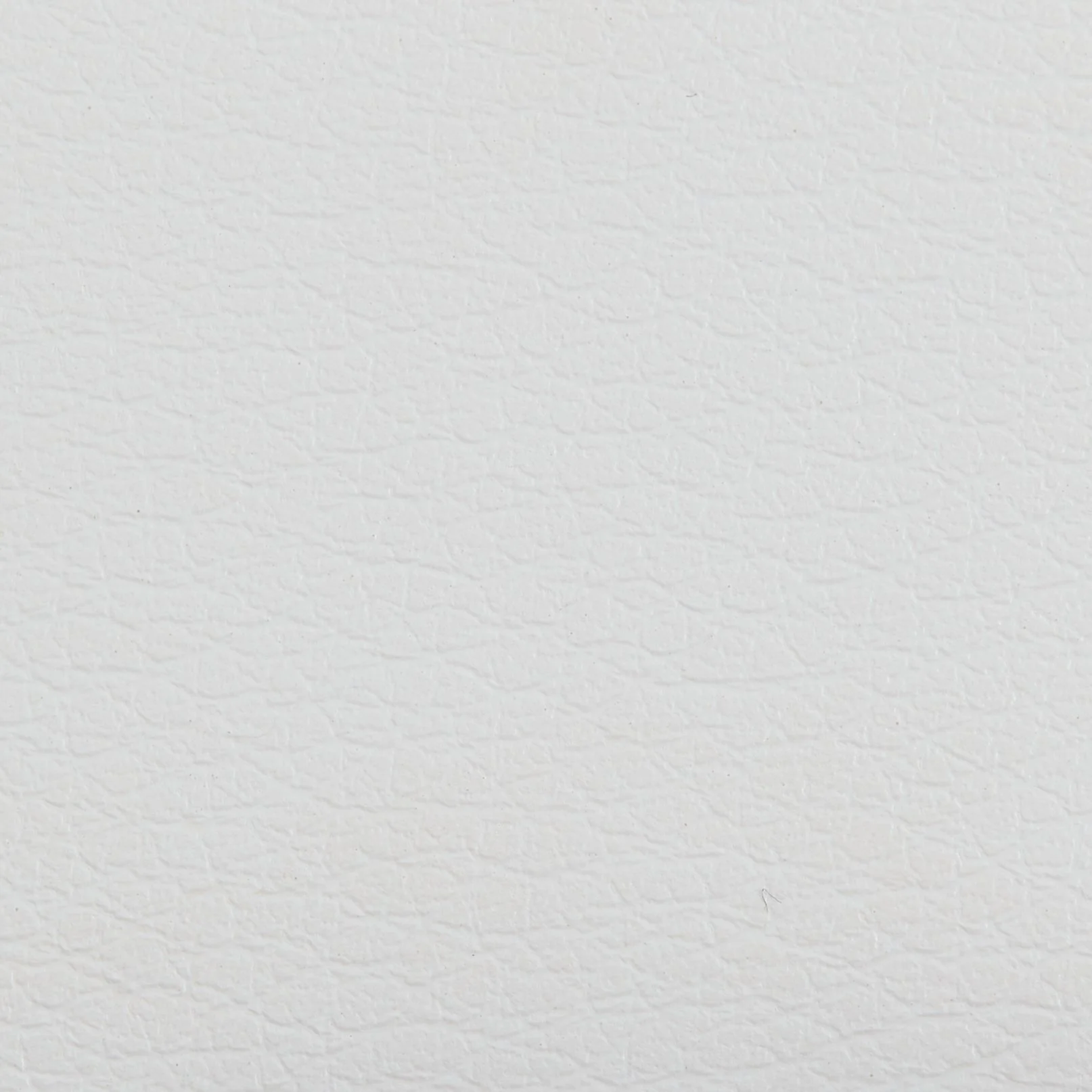 Ingrid Rossi F104_WS.jpg