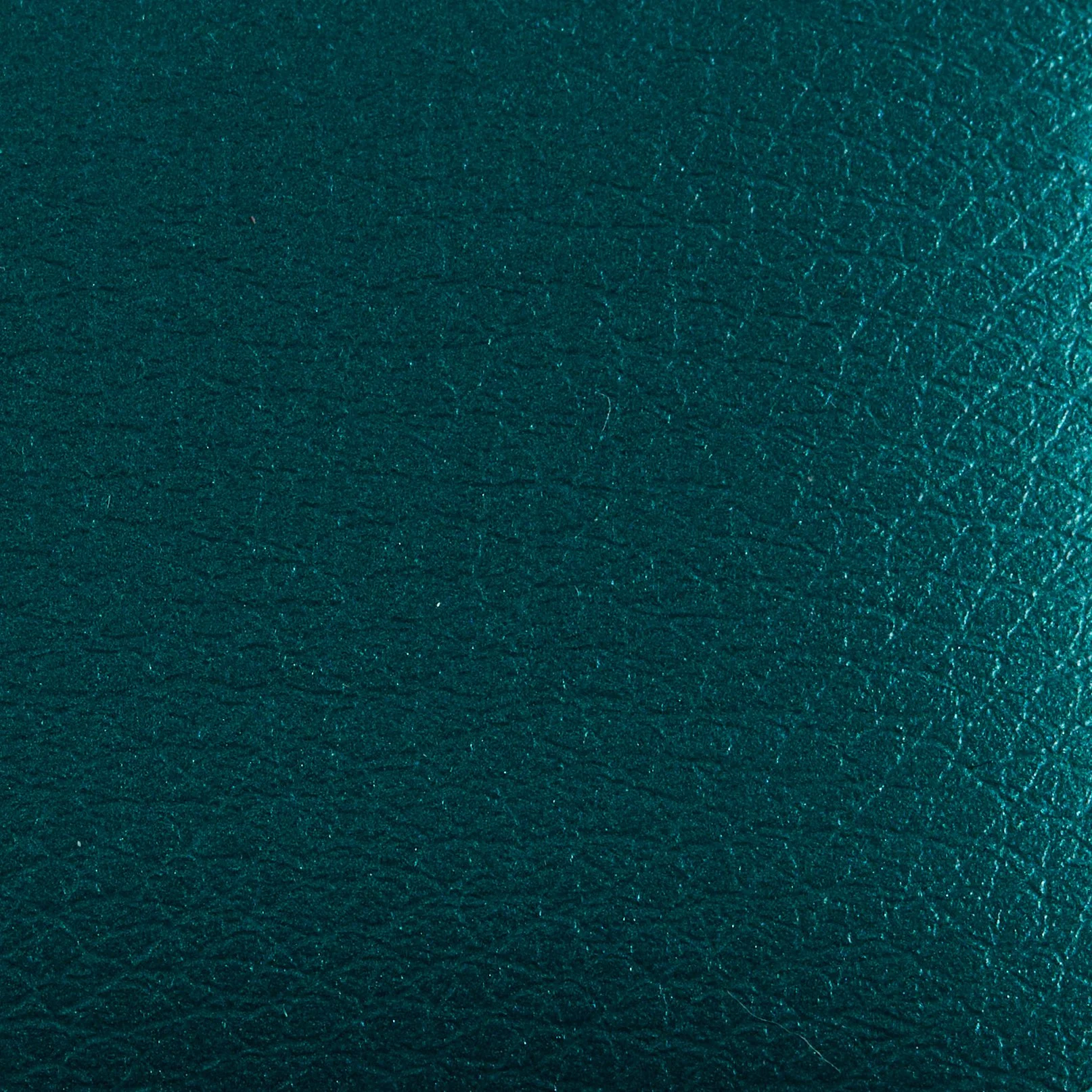 Ingrid Rossi F104_GS.jpg