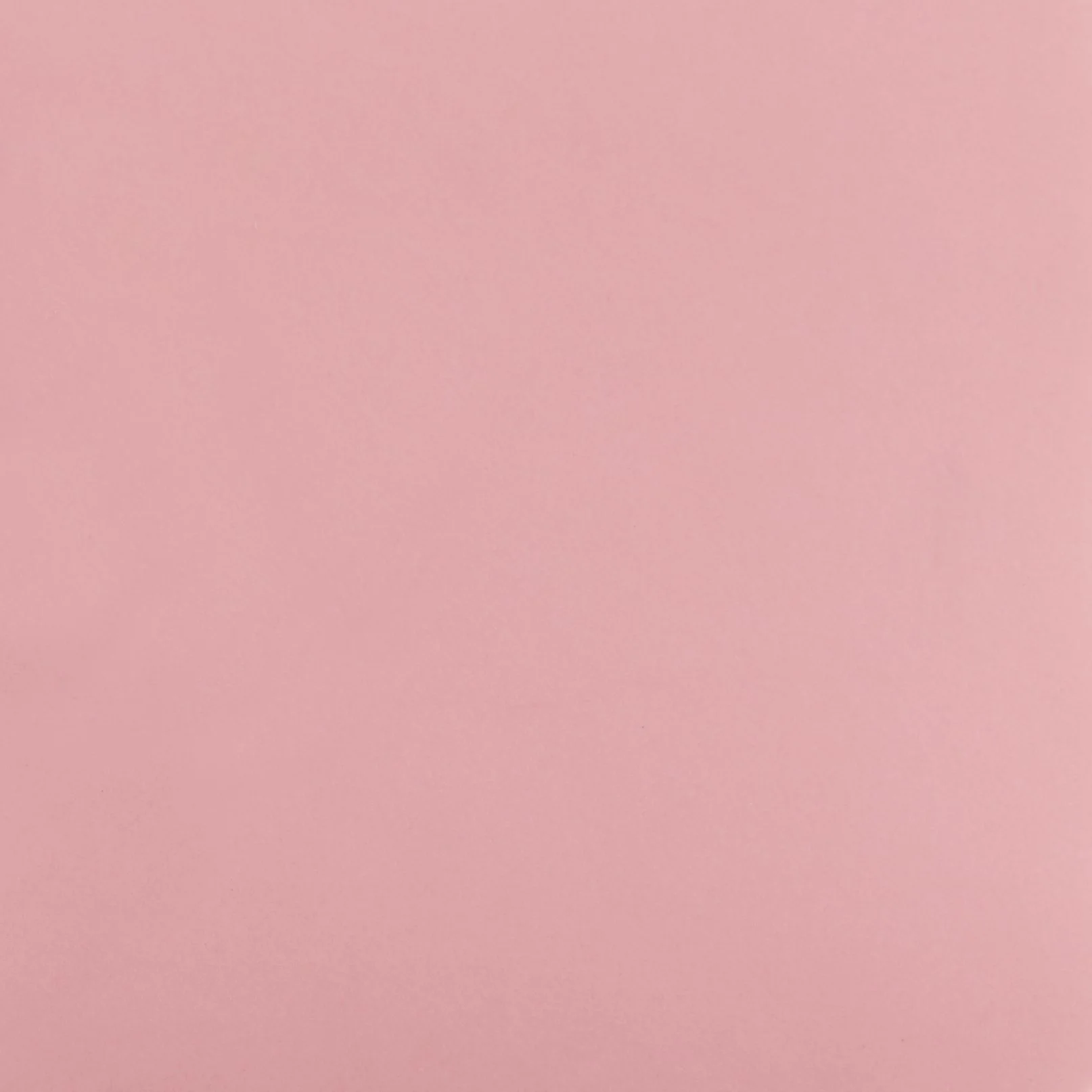 Ingrid Rossi F104_PS.jpg