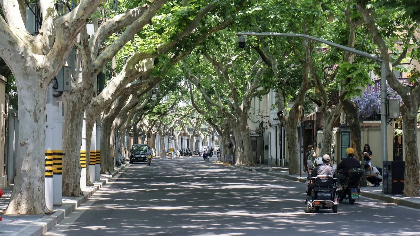 Shanghai French Concession Rentals