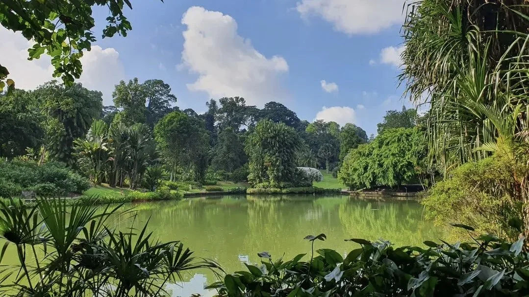 Living near Botanic Gardens Singapore