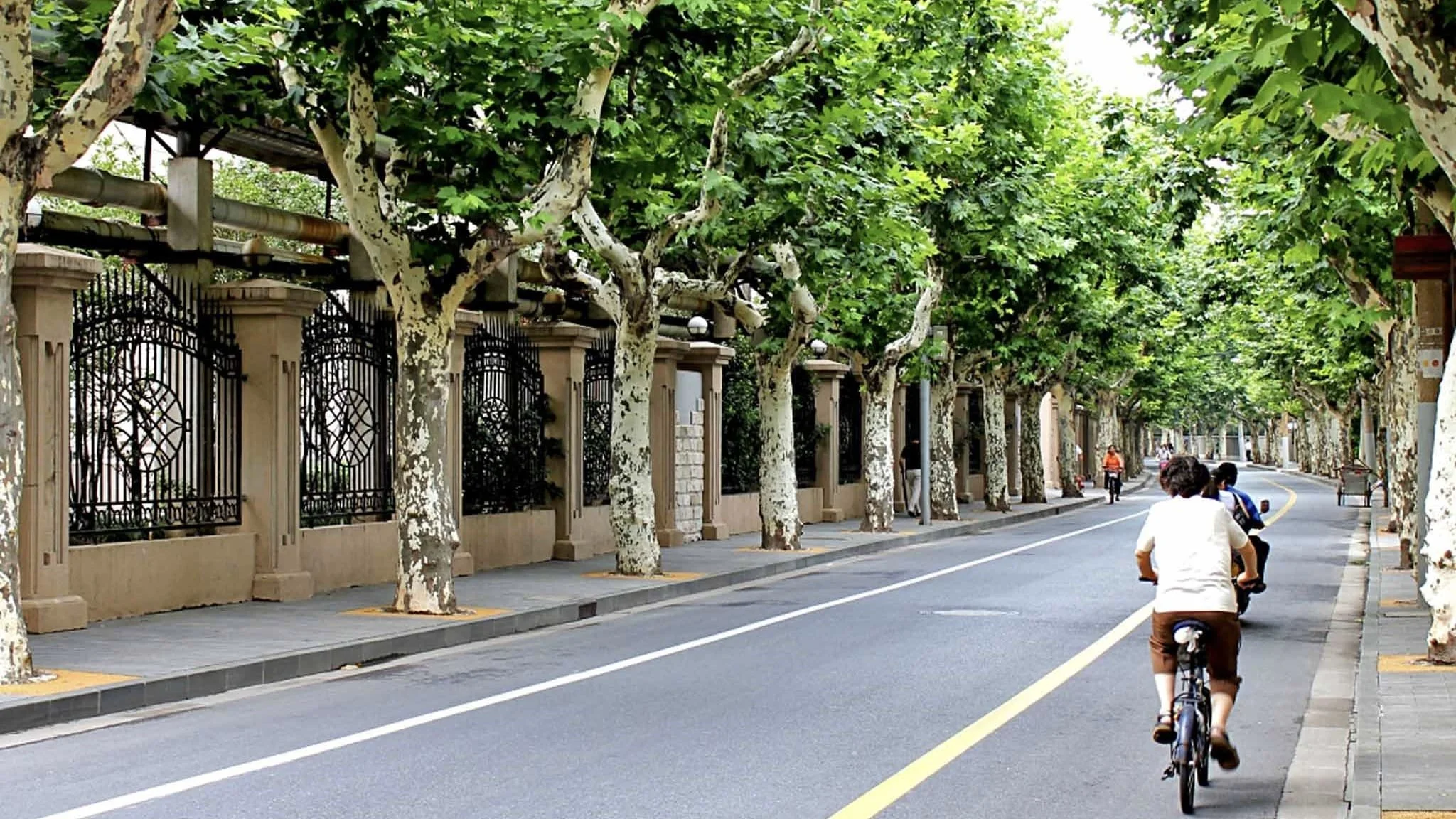 Shanghai Apartments