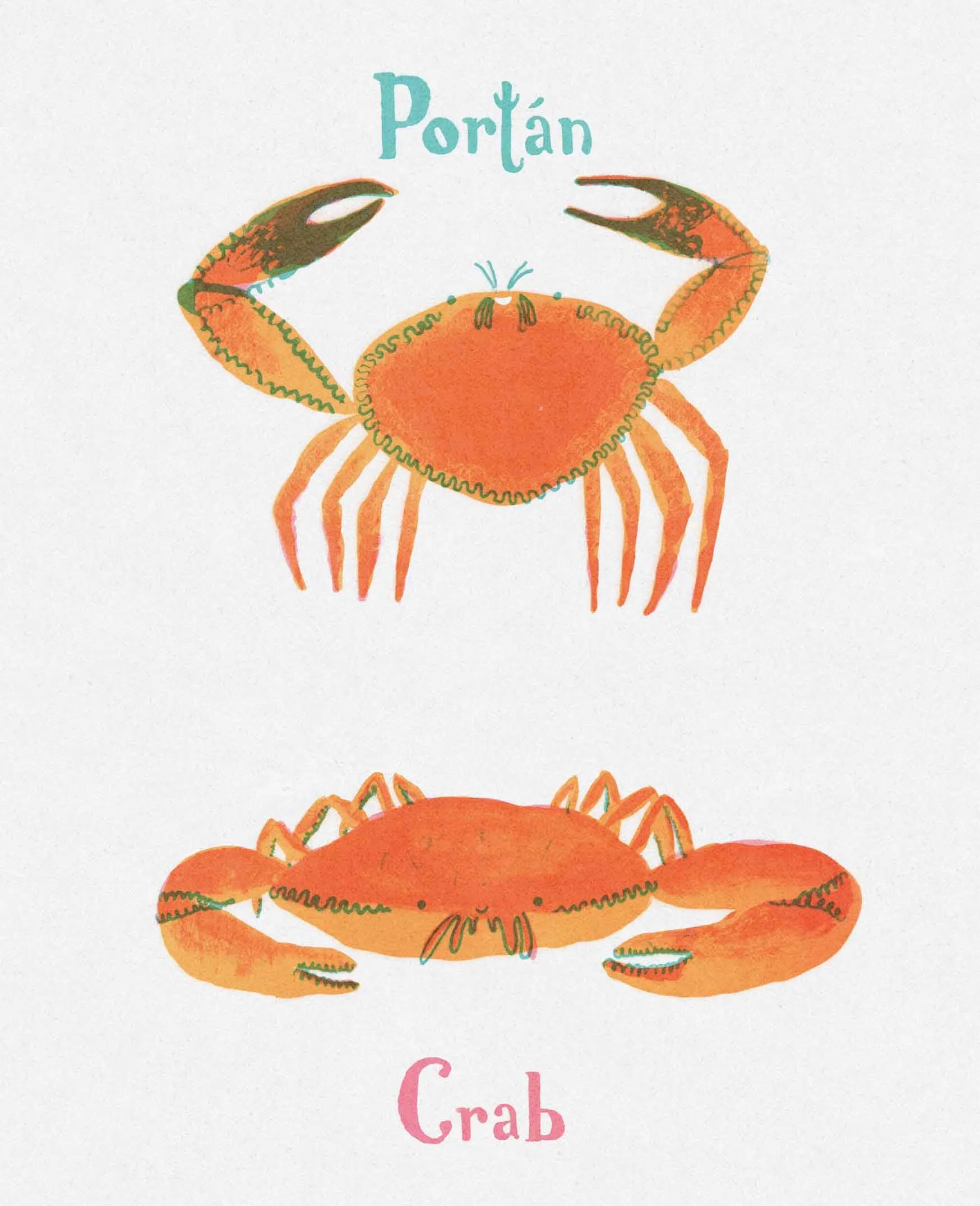 Illustration of a crab with large claws and text 'Portán' in Irish; below, a crab with large claws, with text 'Crab'. 