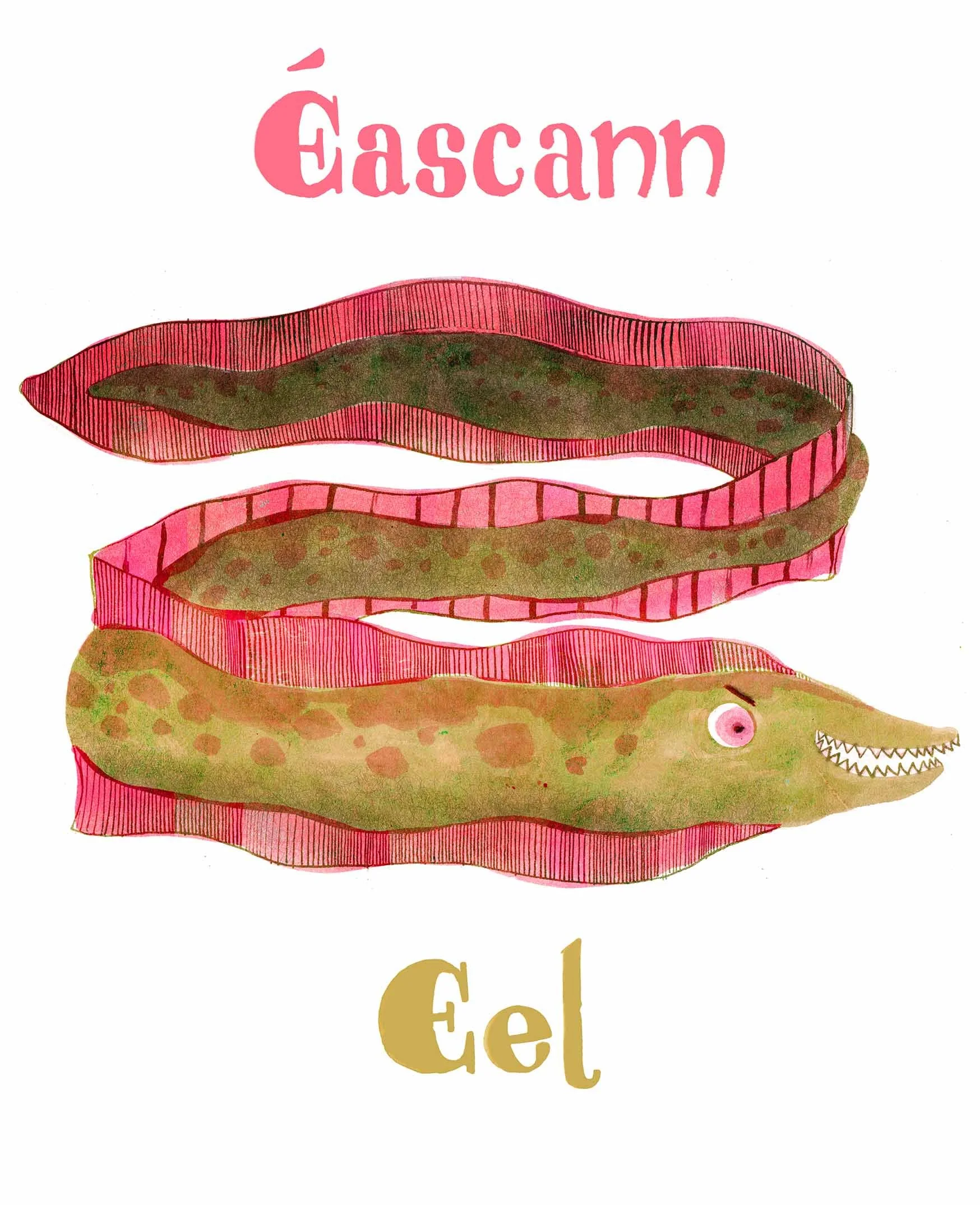 Illustration of an eel, depicted as a cartoon eel with a long body, a round eye, and a sharp-toothed smile, with a pink and green color scheme, and the word 'Eascann' in Irish written above and 'Eel' written below.